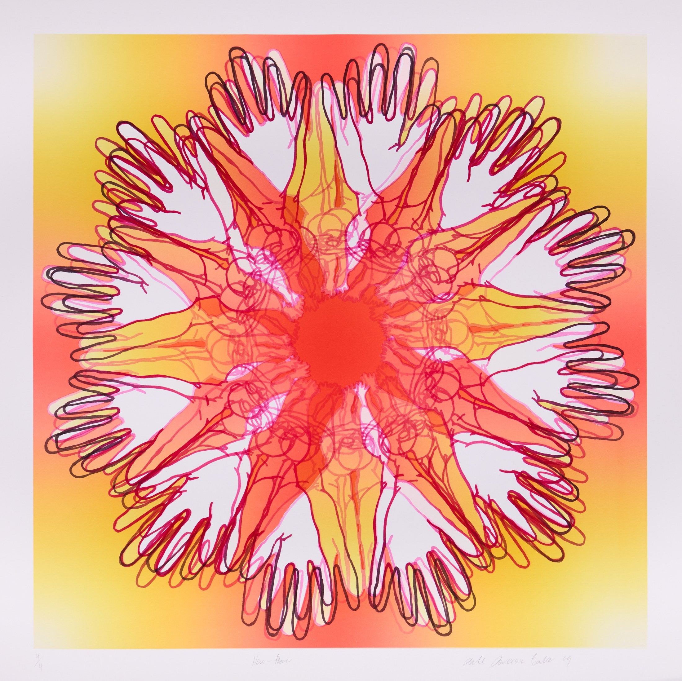 Dale Devereux Barker – Flowerhero