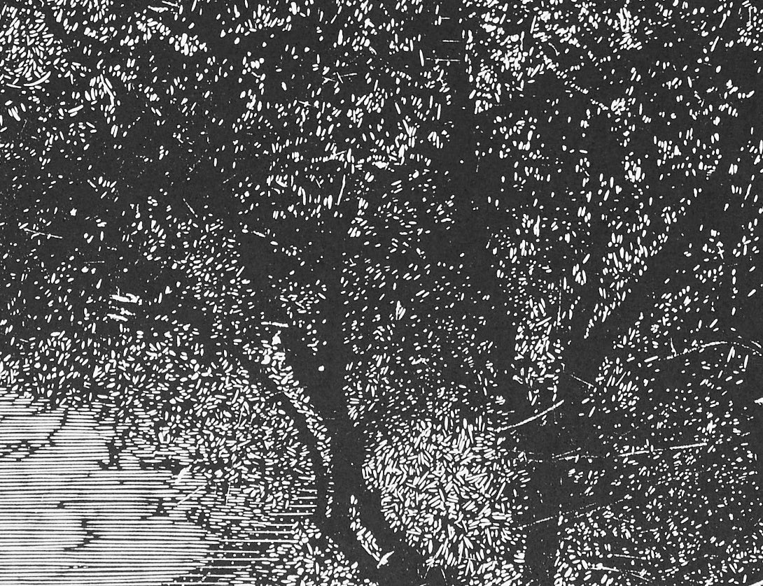 Olesya Dzhurayeva – Electric Light, 2018 (Detail)