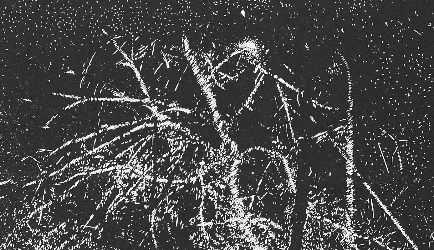 Olesya Dzhurayeva – Electric Light, 2018 (Detail)