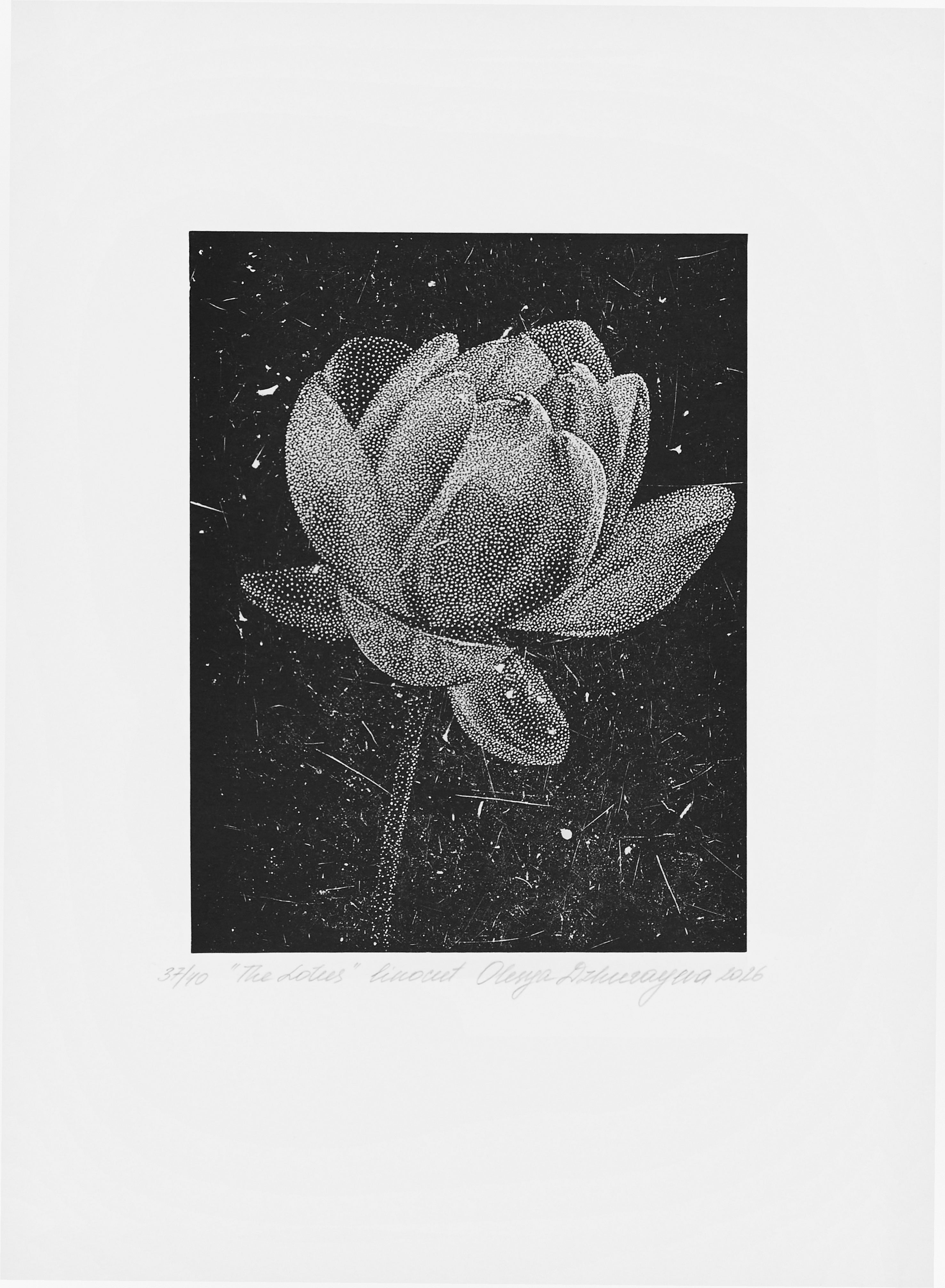 Olesya Dzhurayeva – The Lotus, 2026 (mit Papierrand)