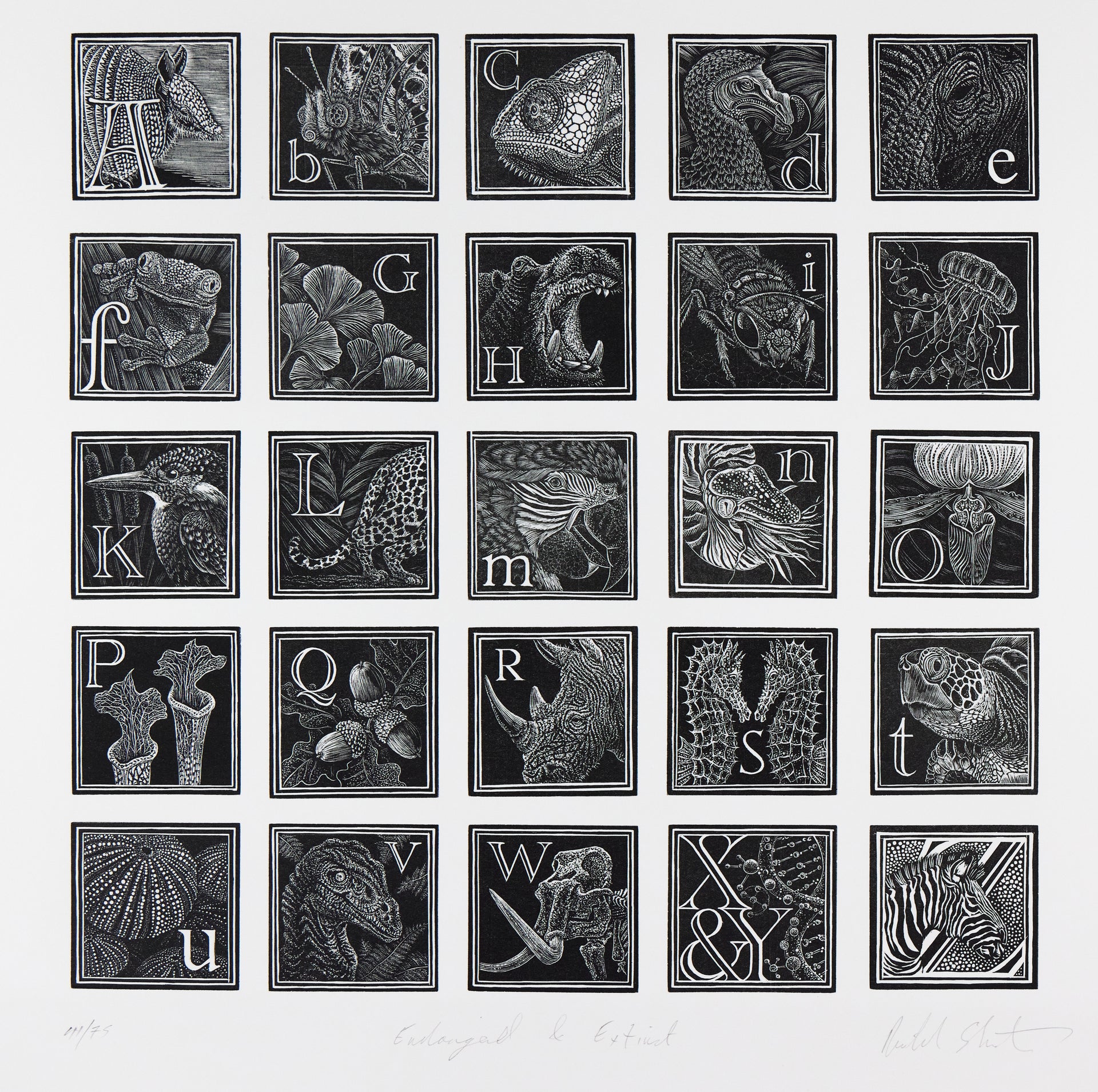 Richard Studer – An Engraver's Alphabet