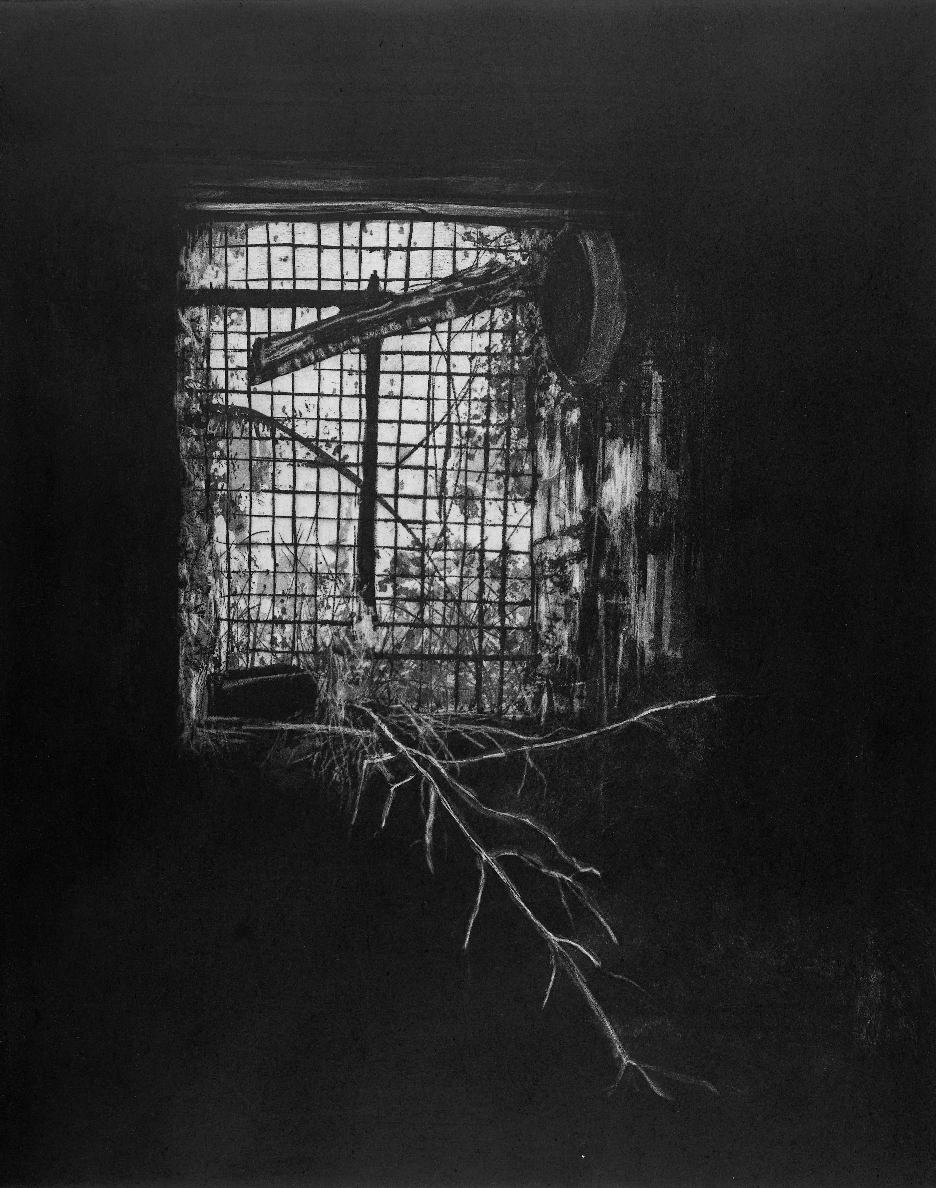 Radierung "Celuan Wool Mill" von Jemma Gunning, 2022: dunkler Fabrikinnenraum, durch ein vergittertes Sprossenfenster fällt Licht auf hereinragende Zweige und Wildwuchs.