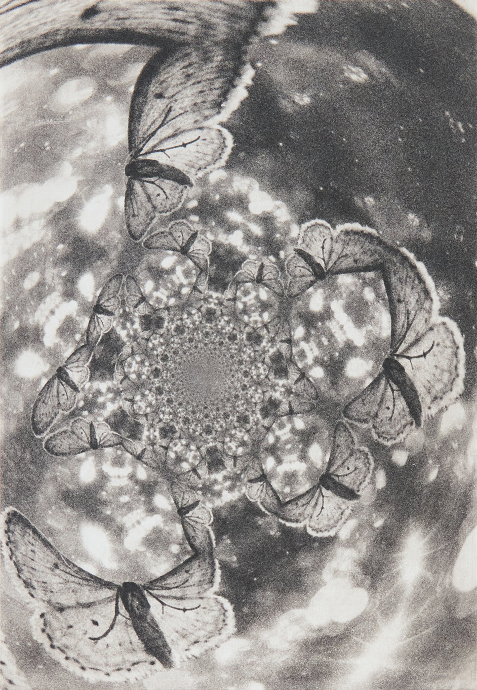 Michelle Hinshelwood – Eclipse