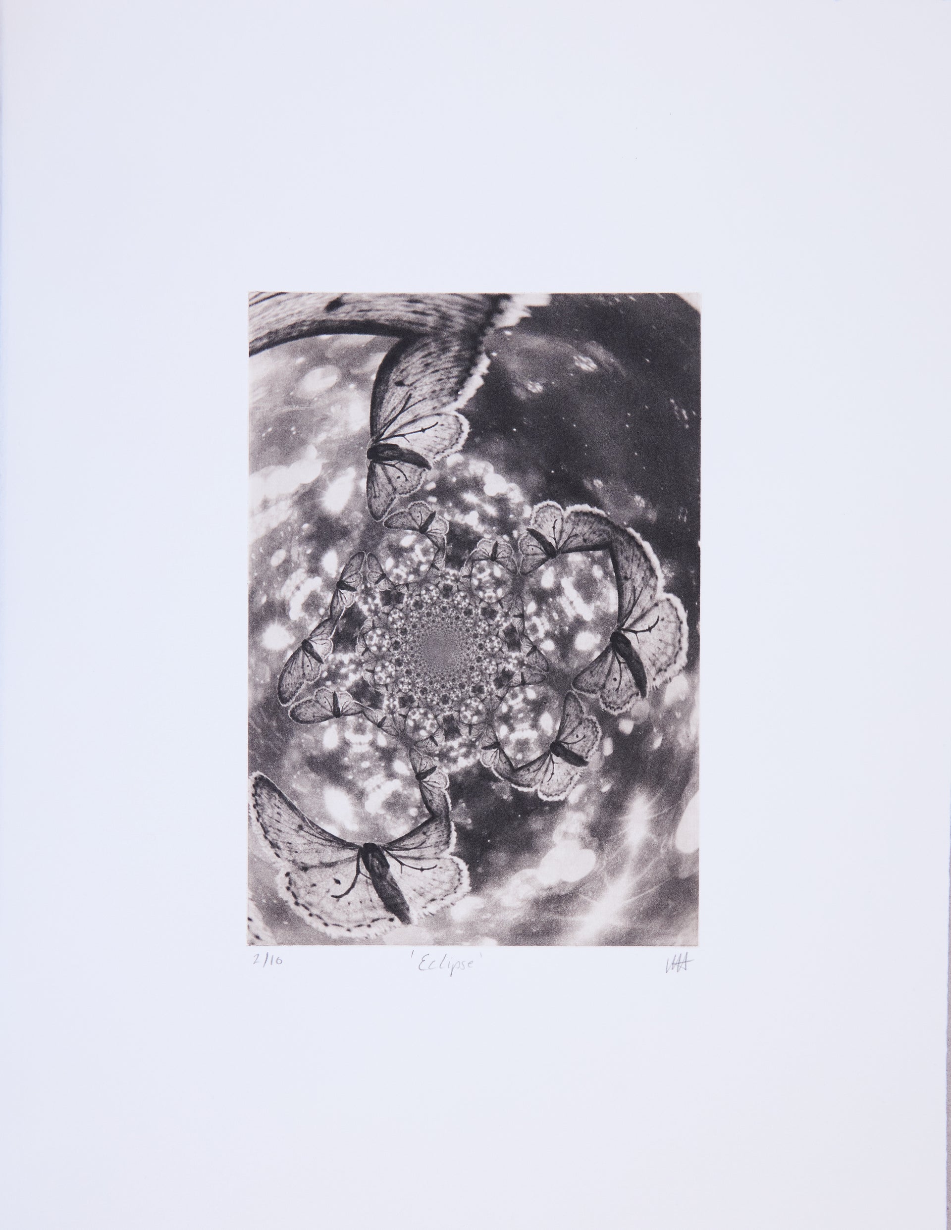Michelle Hinshelwood – Eclipse