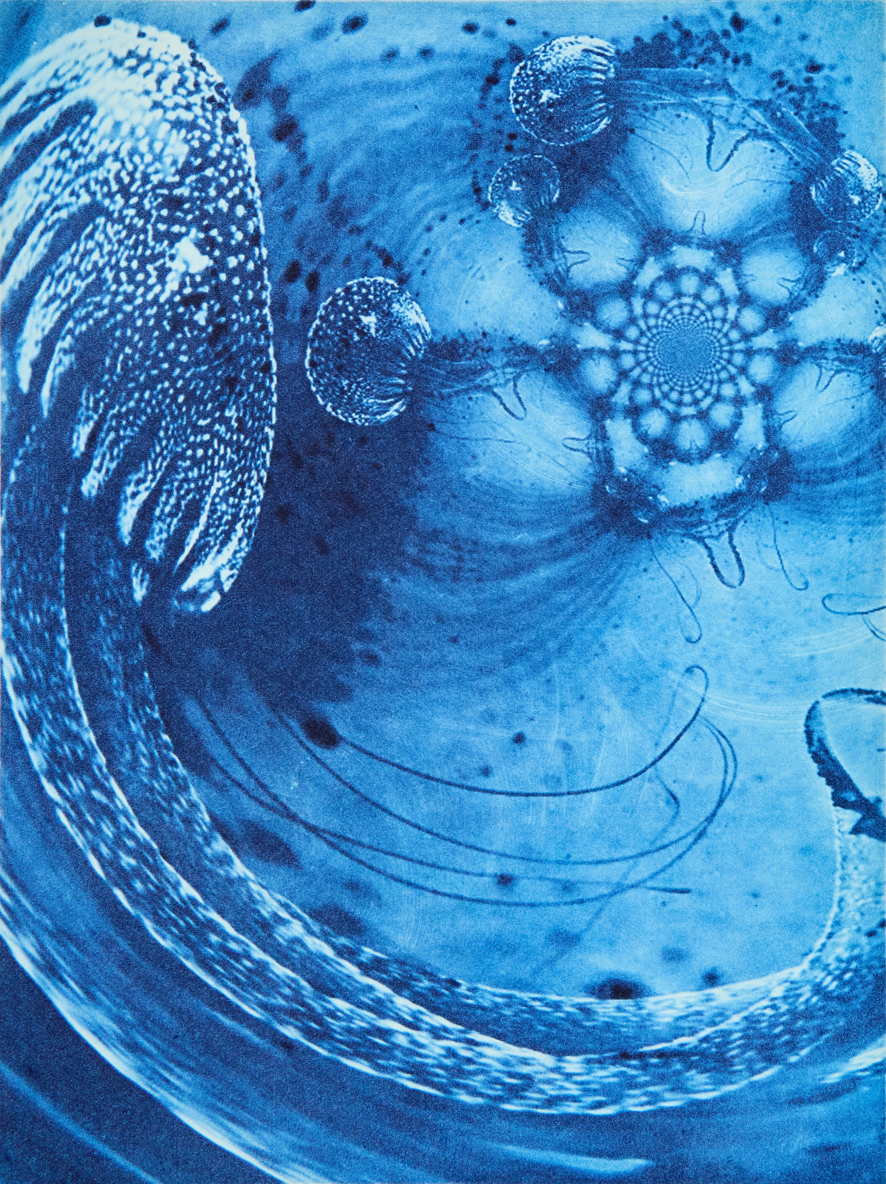 Michelle Hinshelwood, Michelle Hinshelwood – Fathom