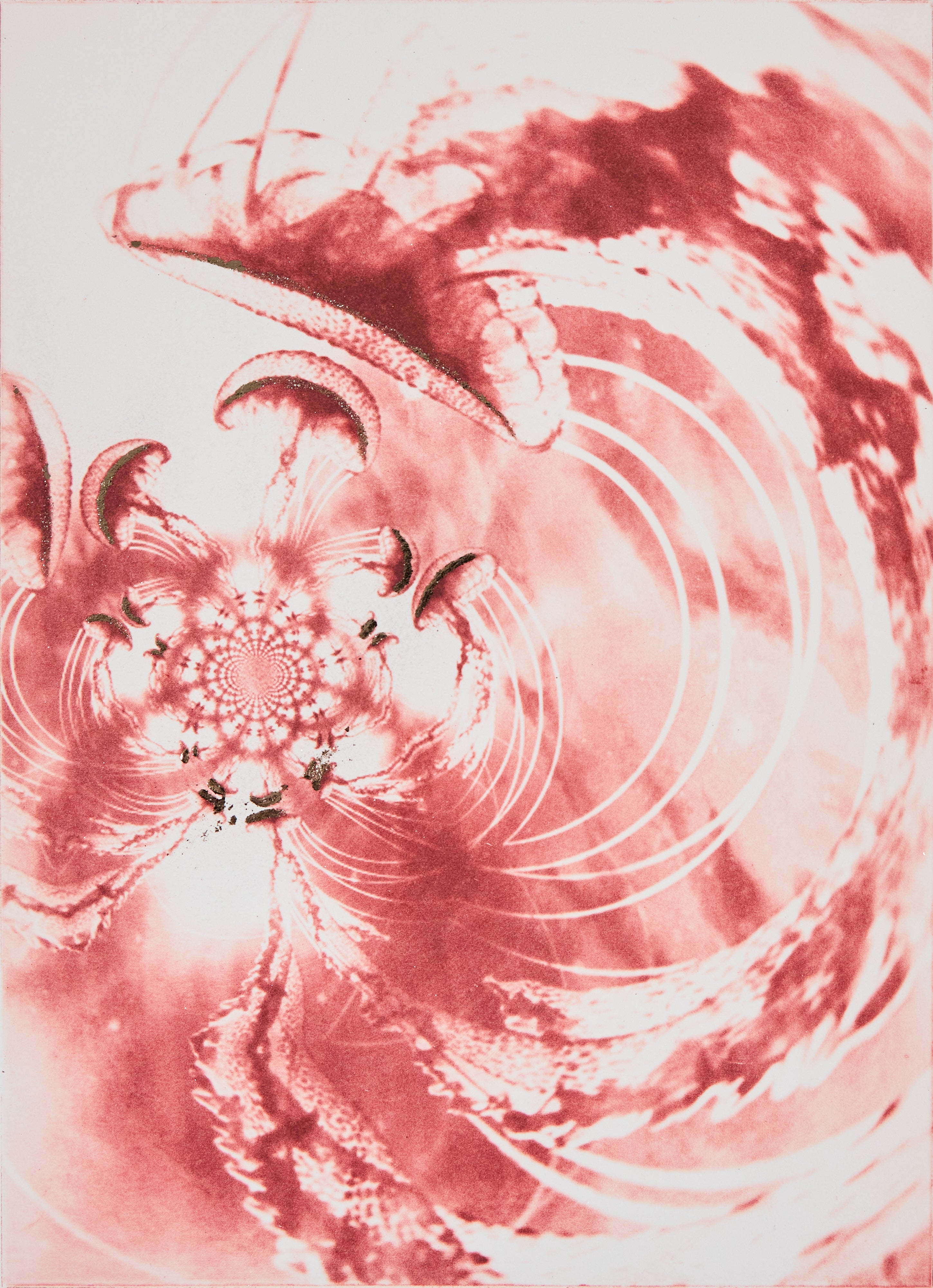 Michelle Hinshelwood, Michelle Hinshelwood – Sea Spirits