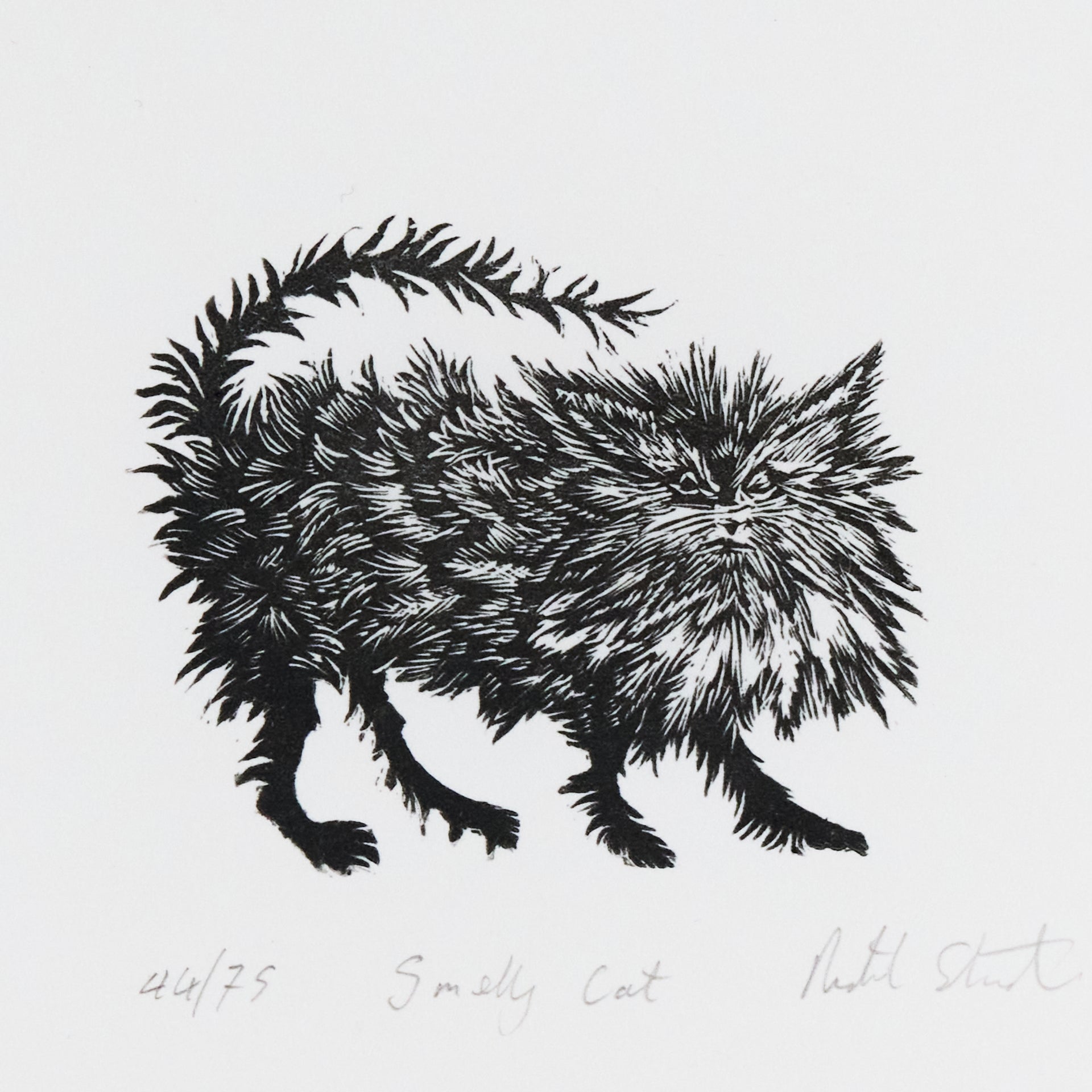 Richard Studer – Smelly Cat