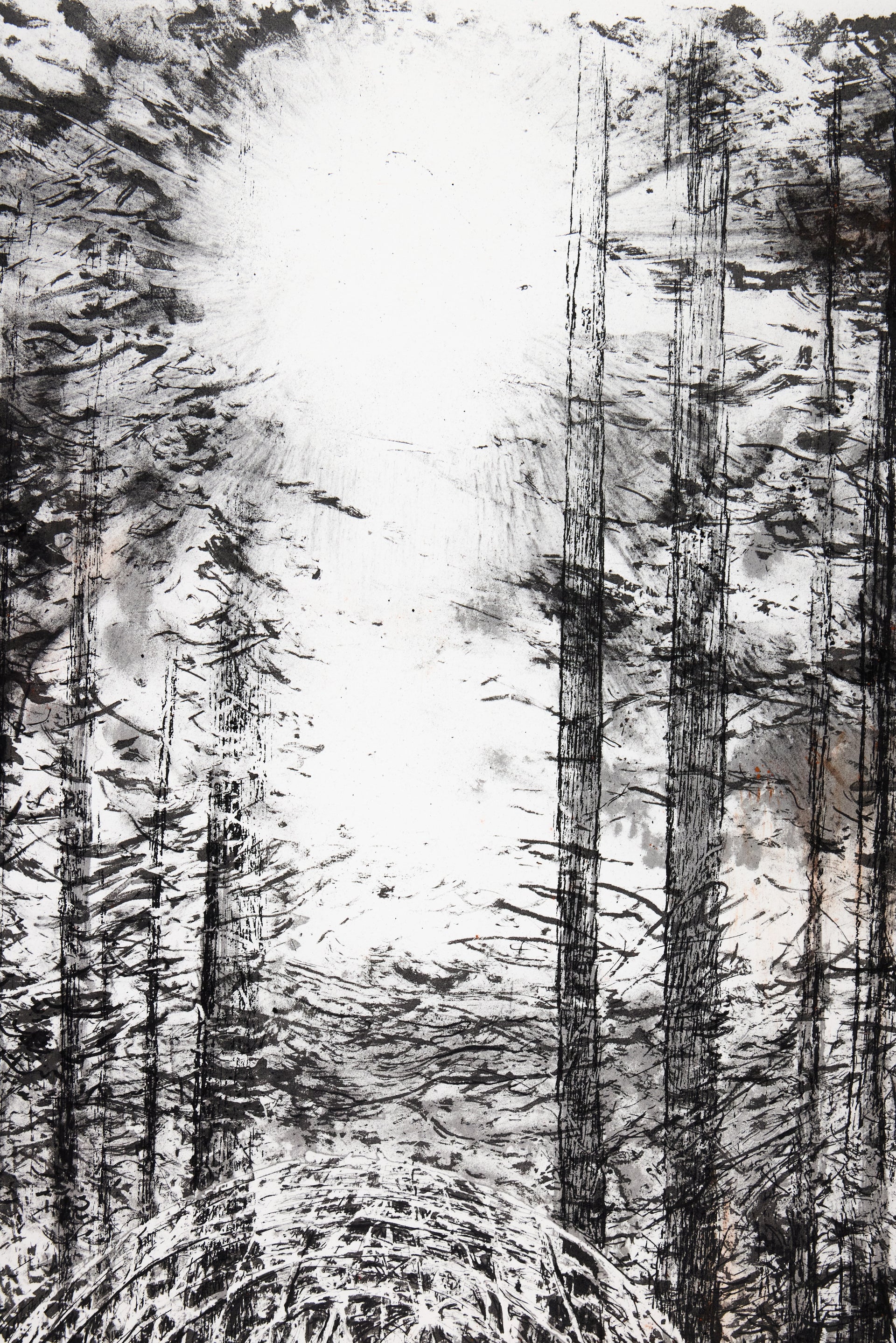 John Simpson – Sun Forest
