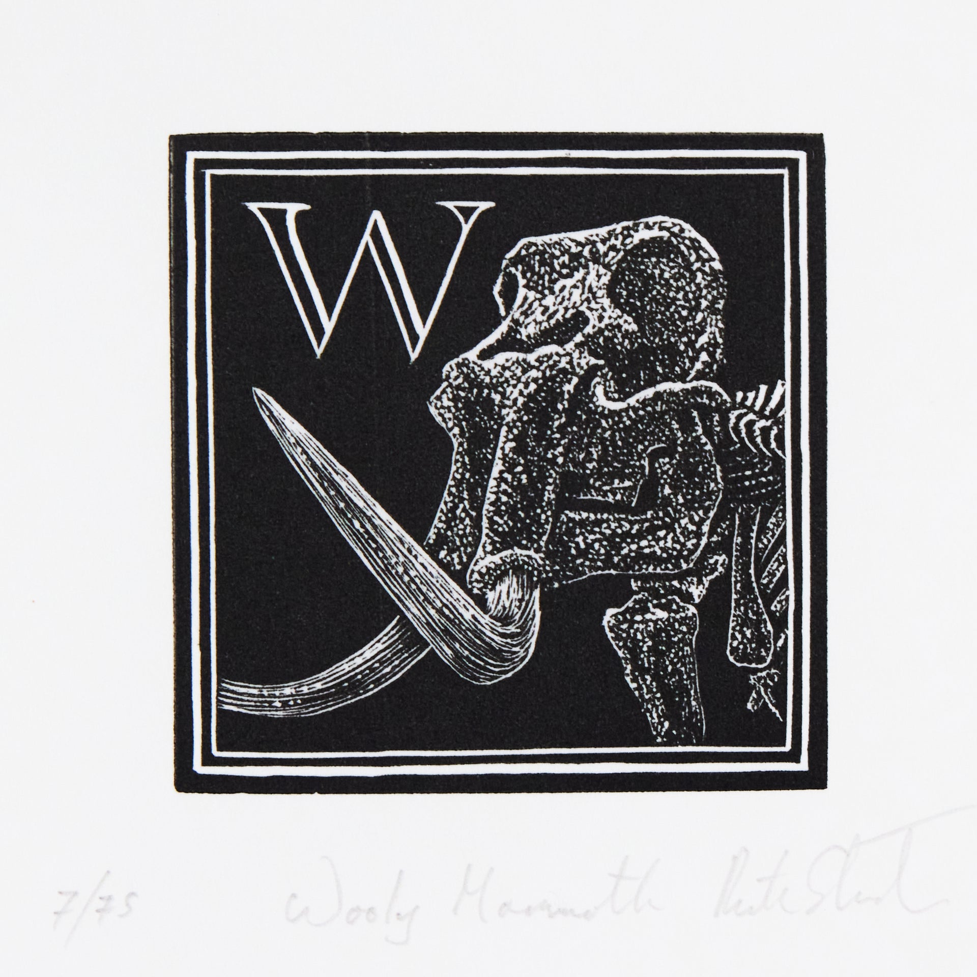 Richard Studer – W – Wooly Mammoth