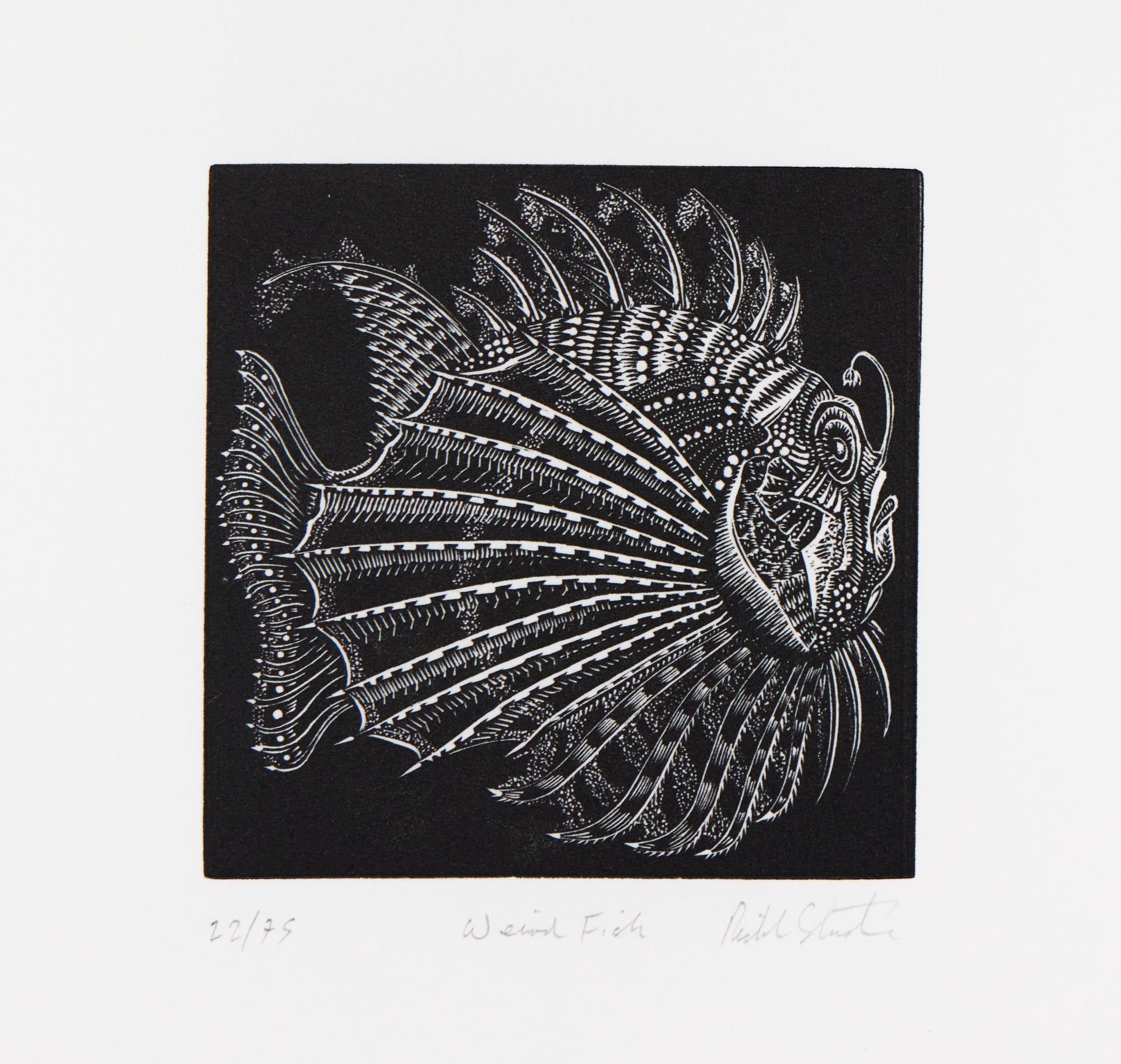 Richard Studer – Weird Fish