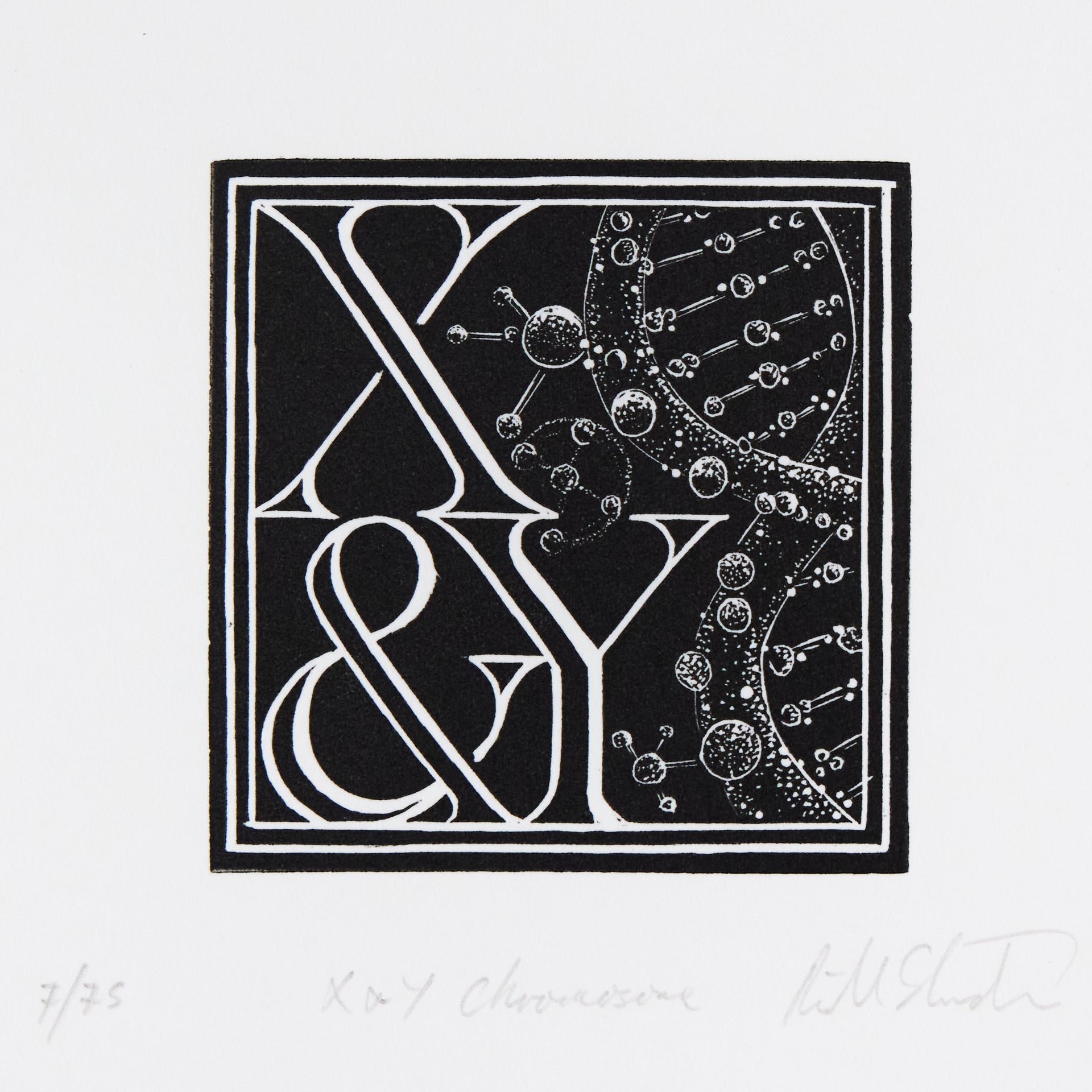 Richard Studer –  X & Y – Chromosome