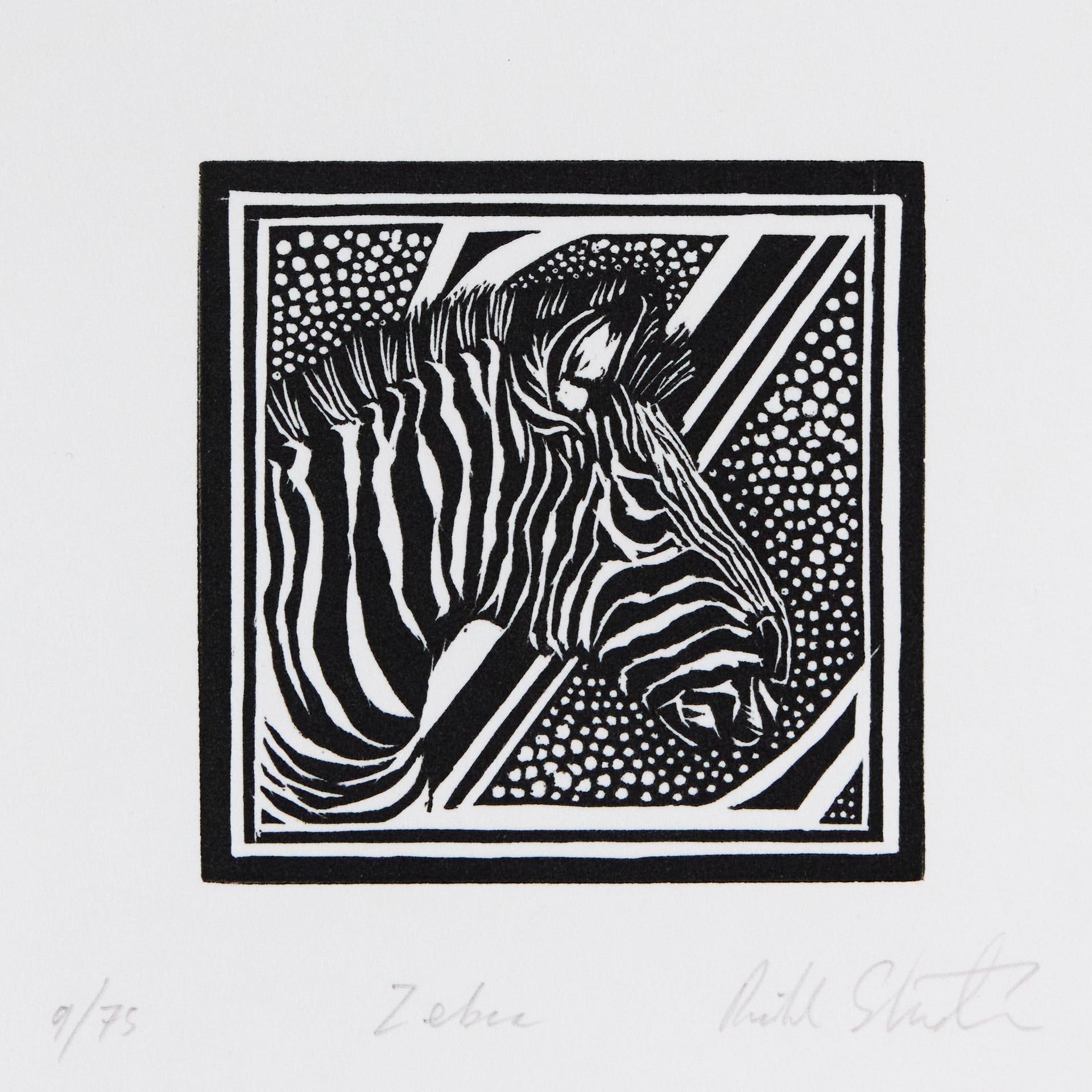 Richard Studer  –  Z – Zebra