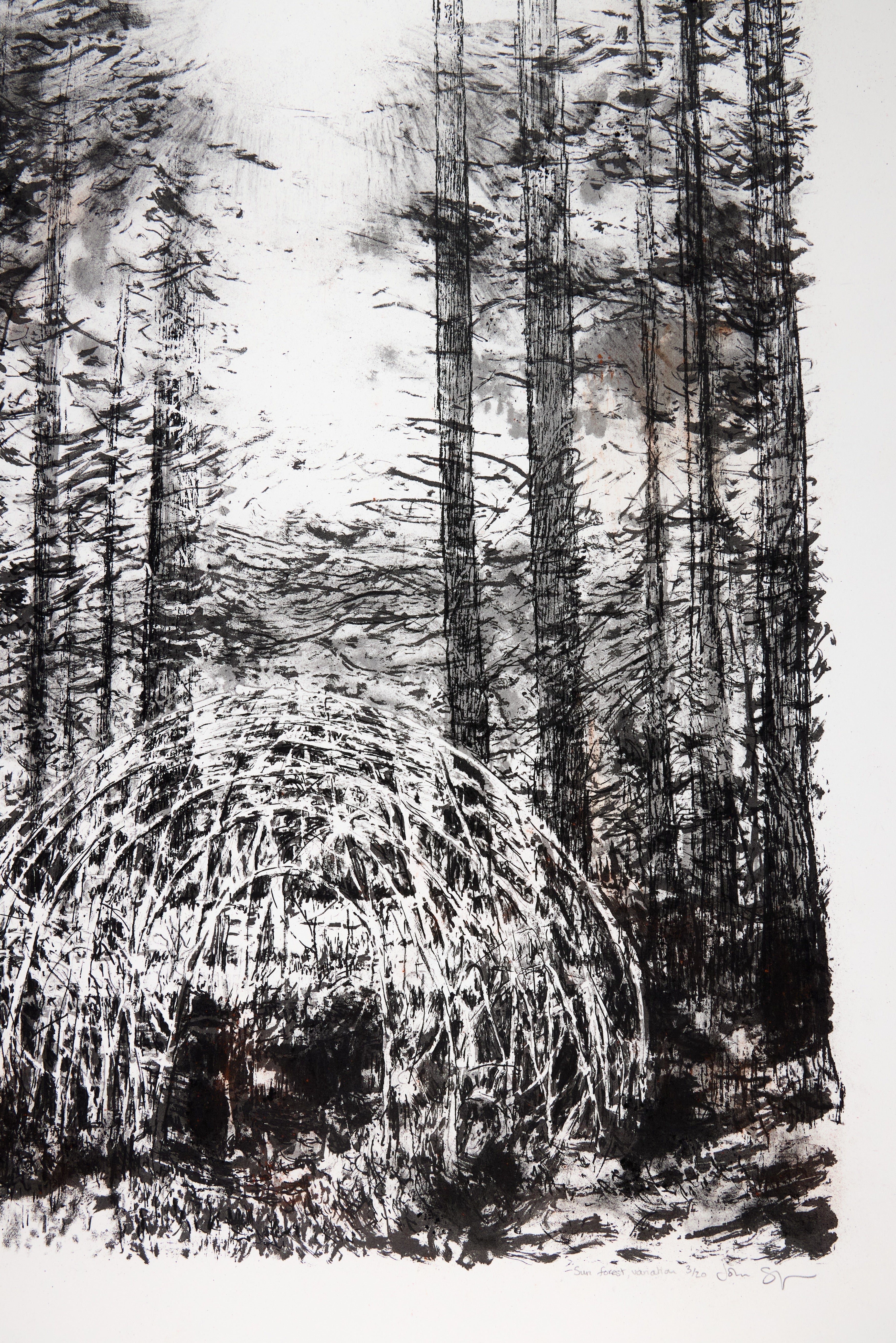 Detail: Detail einer schwarzweißen Waldszene mit Baumstämmen und Kuppelgeflecht am Boden. Serigrafie + Kohle "Sun Forest" von John Simpson.