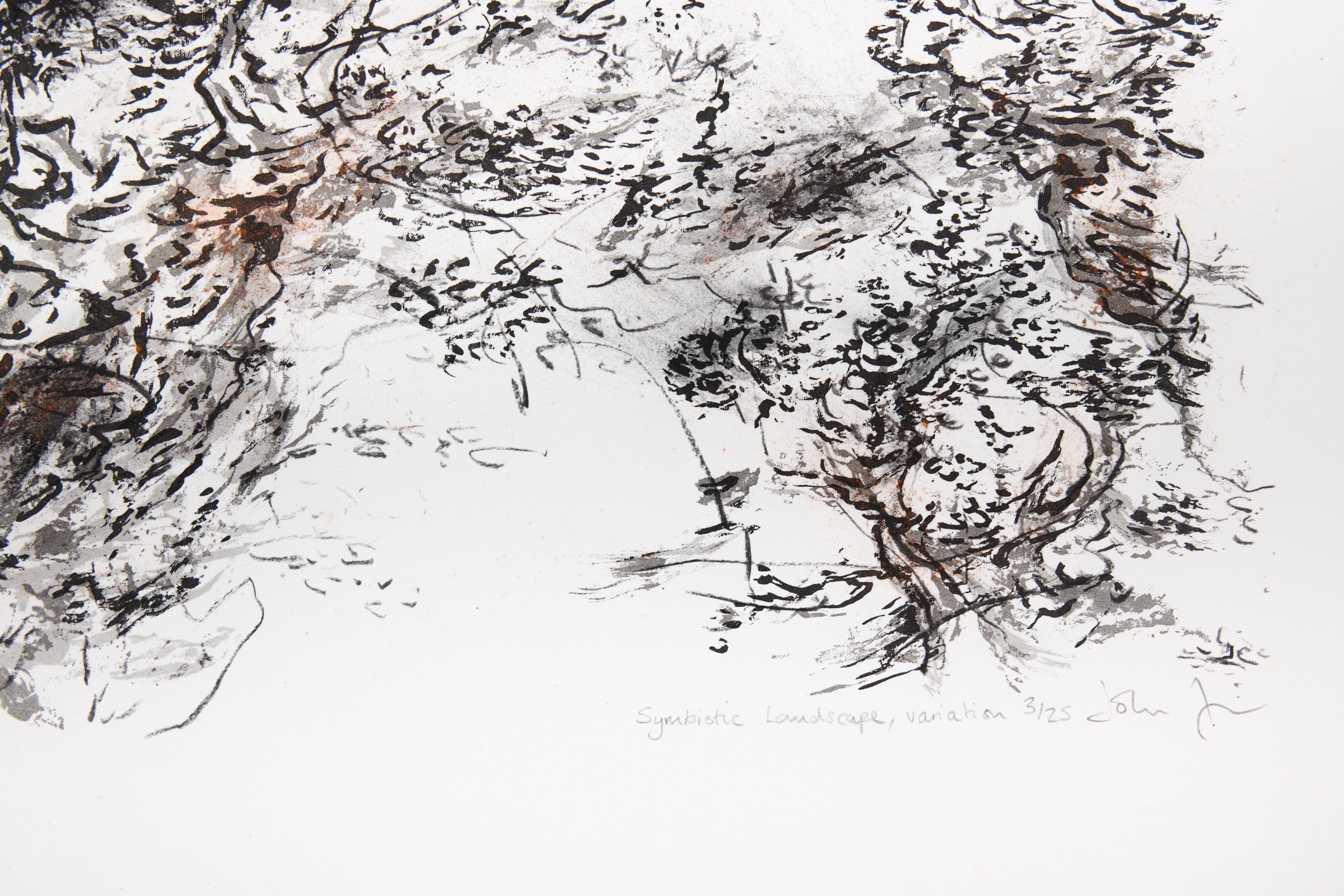 Detail: Detail einer abstrakten Landschaft mit Tinten-Strichen in Schwarz und Braun, Signatur und Auflagennummer unten rechts.