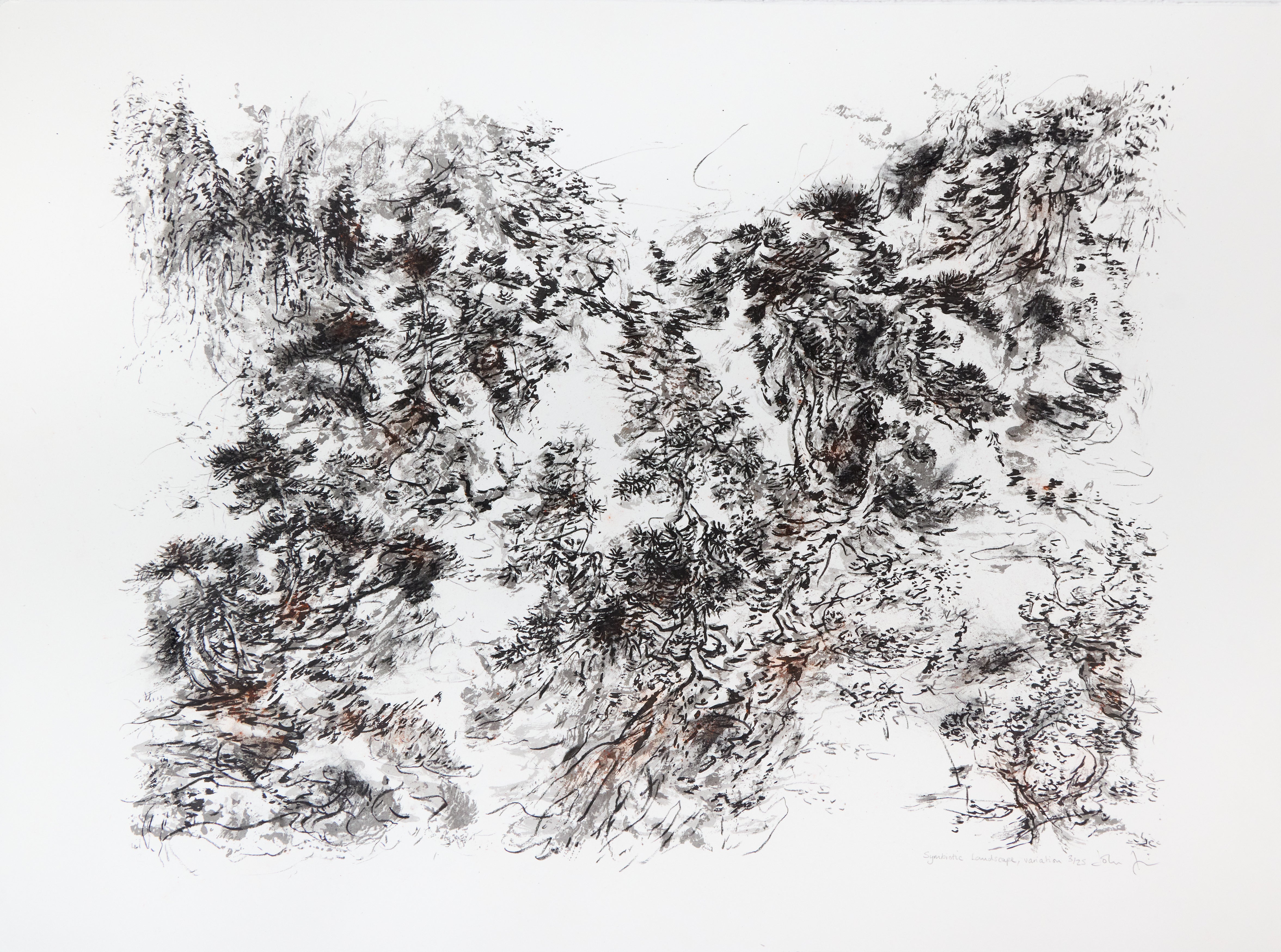 John Simpson, John Simpson – Symbiotic Landscape