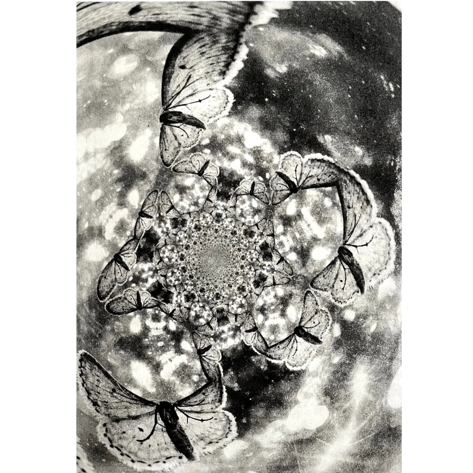 Konzentrisch angeordnete Schmetterlingsformen um ein zentrales Muster auf gefleckter Fläche. Radierung "Eclipse" von Michelle Hinshelwood.
