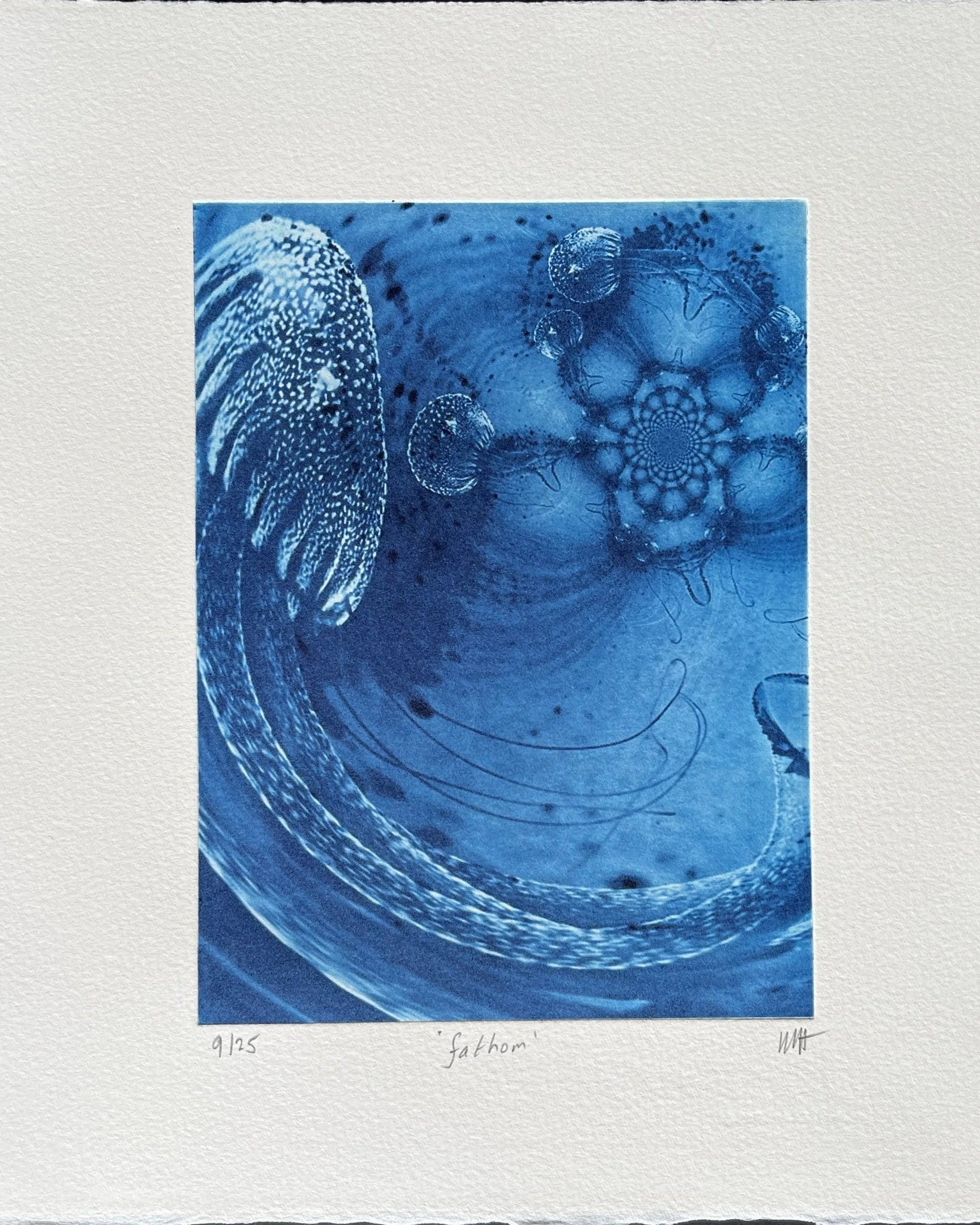 Hochformatige Komposition mit Quallen- und Spiralformen, Titelzeile unten. Radierung "Fathom" von Michelle Hinshelwood.