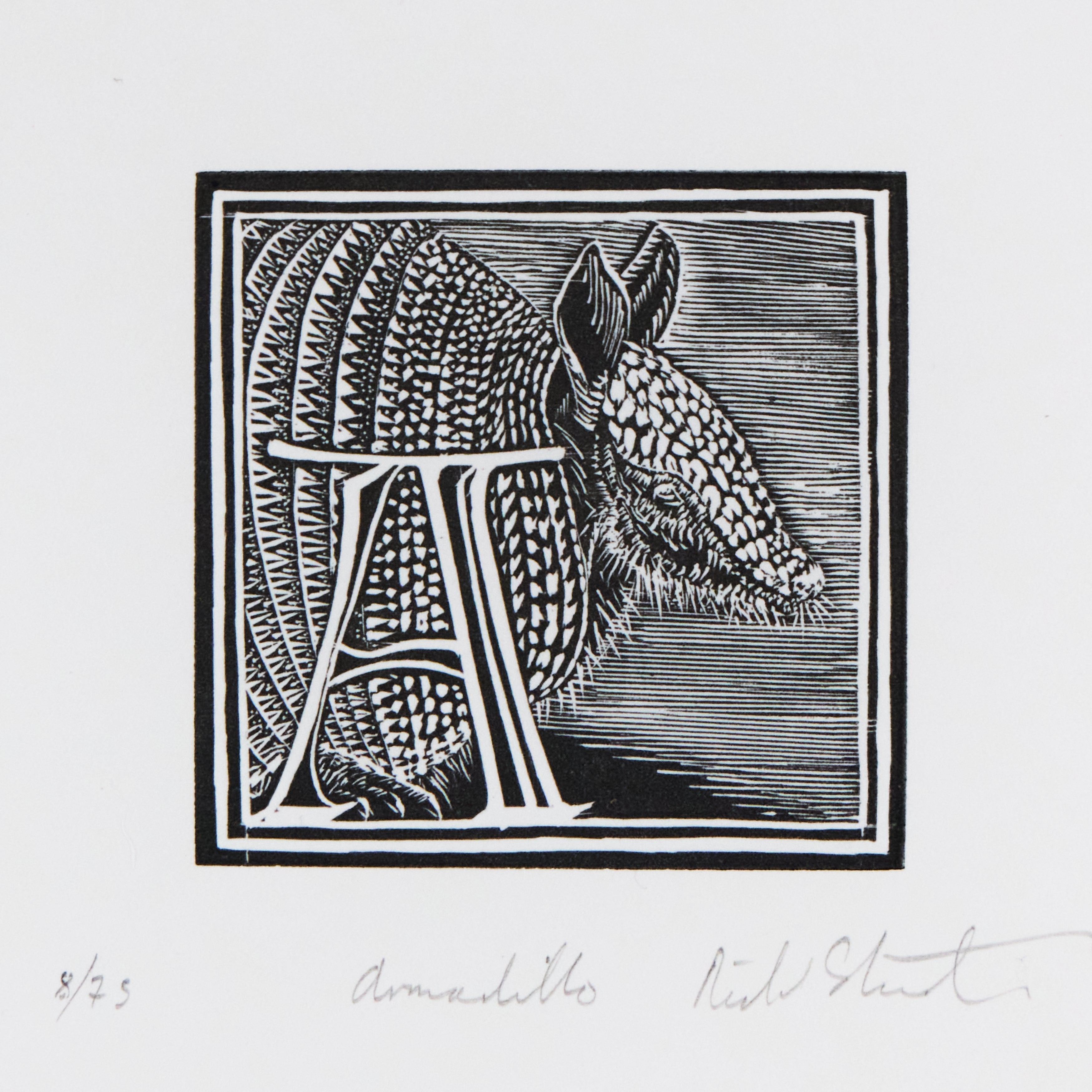 Richard Studer, Richard Studer – A – Armadillo