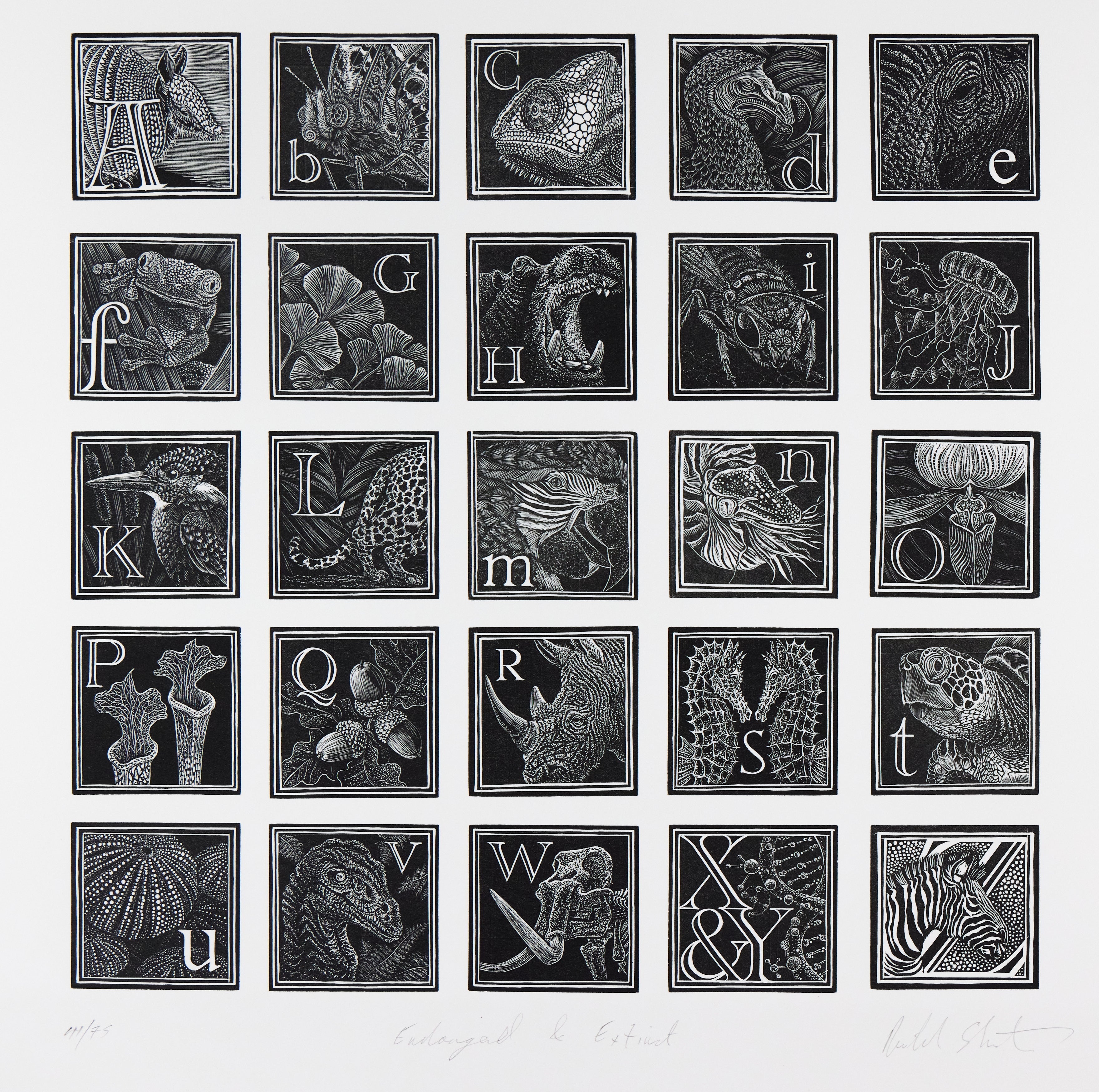 Richard Studer, Richard Studer – An Engraver's Alphabet