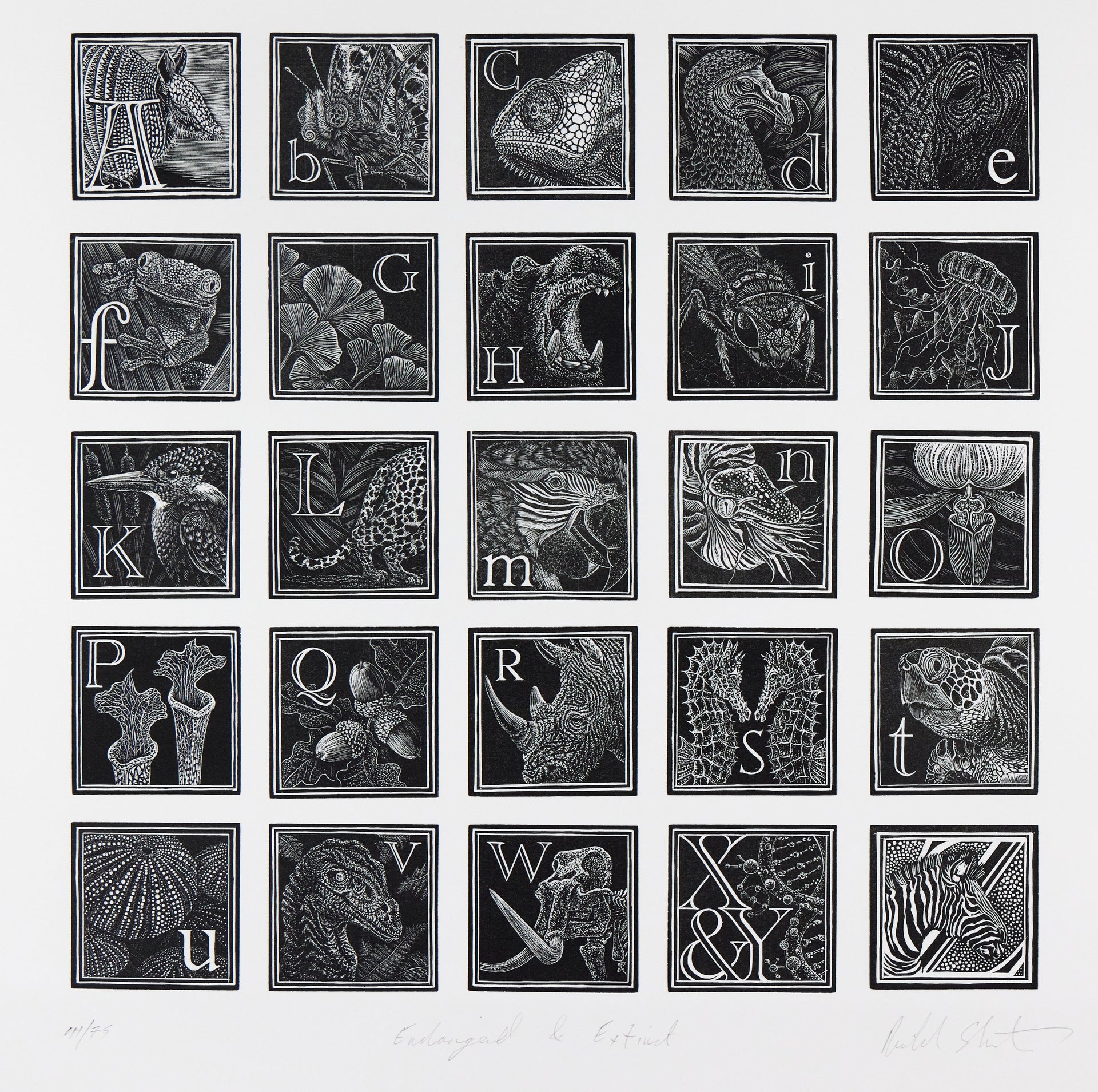 Rasterblatt mit 25 quadratischen Holzschnittfeldern, jedes Feld zeigt einen. Holzschnitt "An Engraver's Alphabet" von Richard Studer.