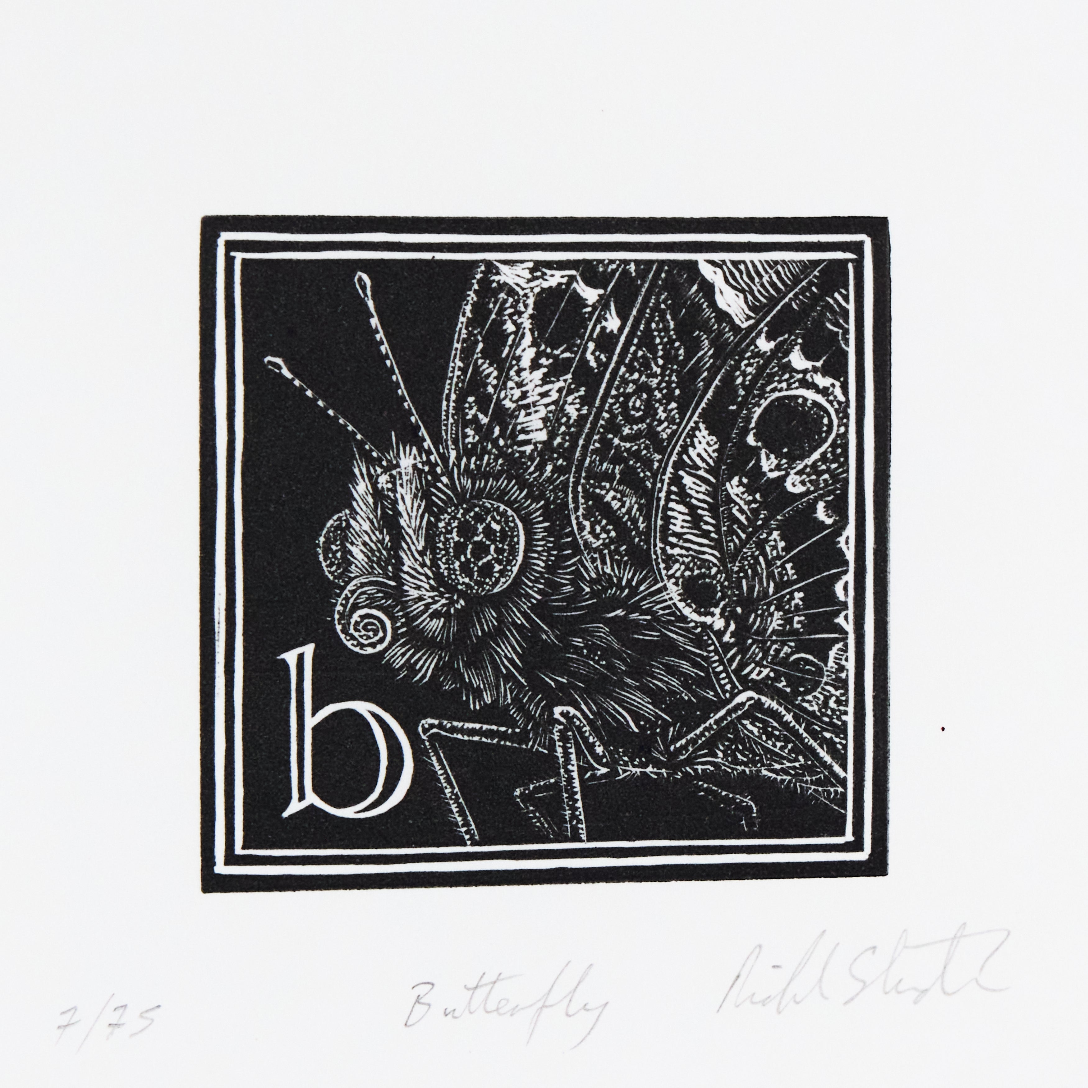 Richard Studer, Richard Studer – B – Butterfly