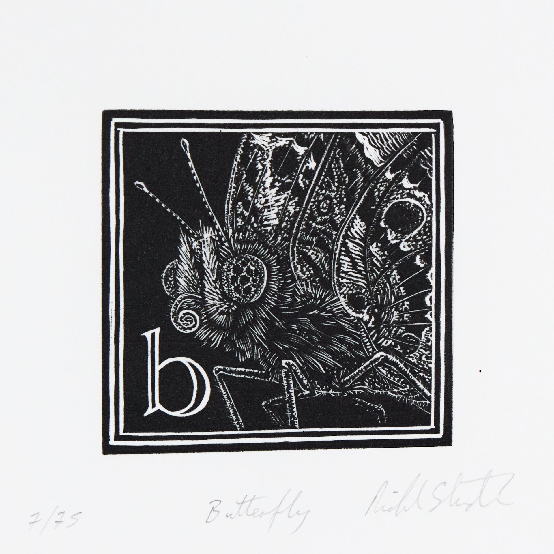 Schmetterling mit gemustertem Flügelpaar und Initiale b in quadratischer schwarzer Rahmung. Holzschnitt "Butterfly" von Richard Studer.