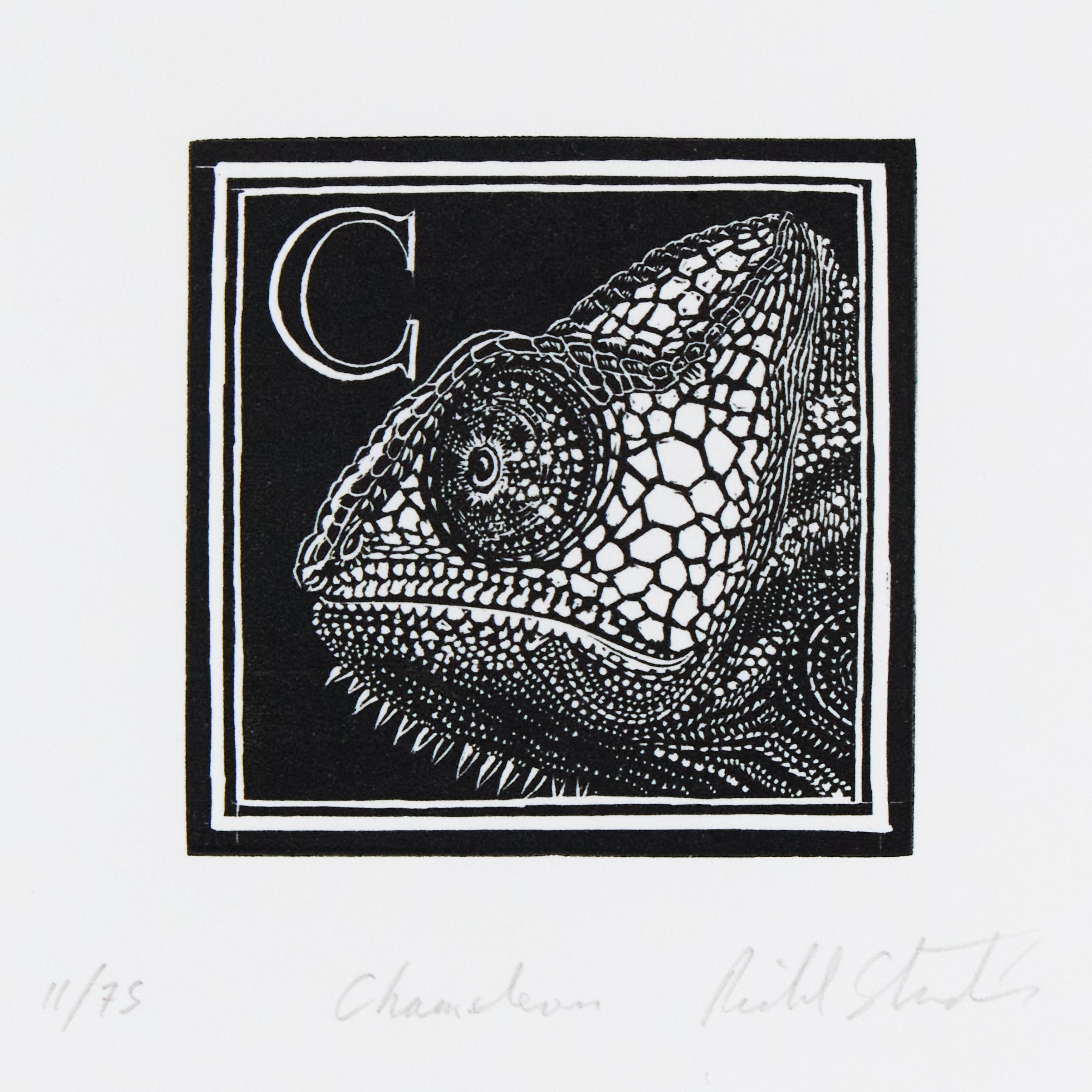 Richard Studer, Richard Studer – C – Chameleon