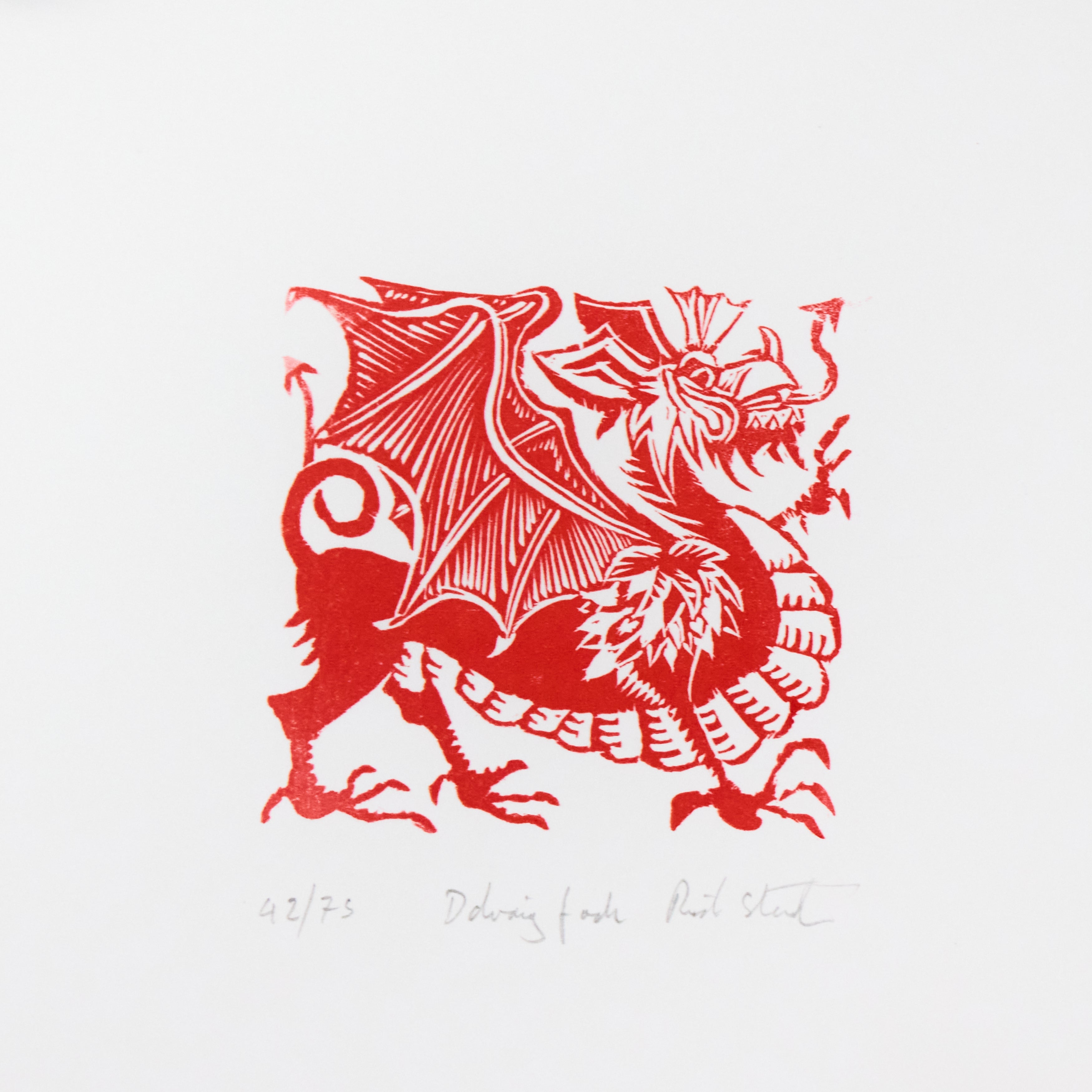 Richard Studer, Richard Studer – Ddraig Fach (red)
