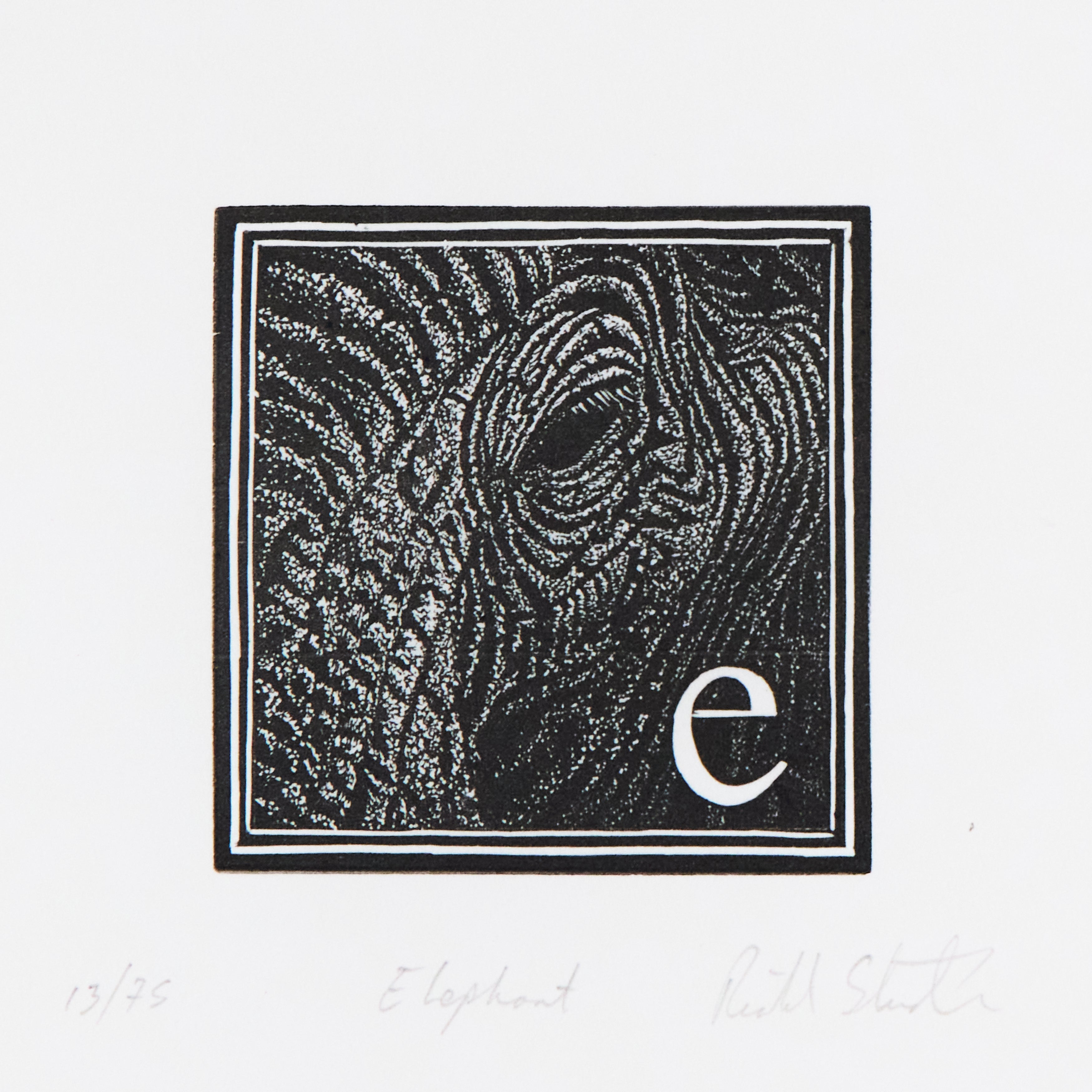 Richard Studer, Richard Studer – E – Elephant