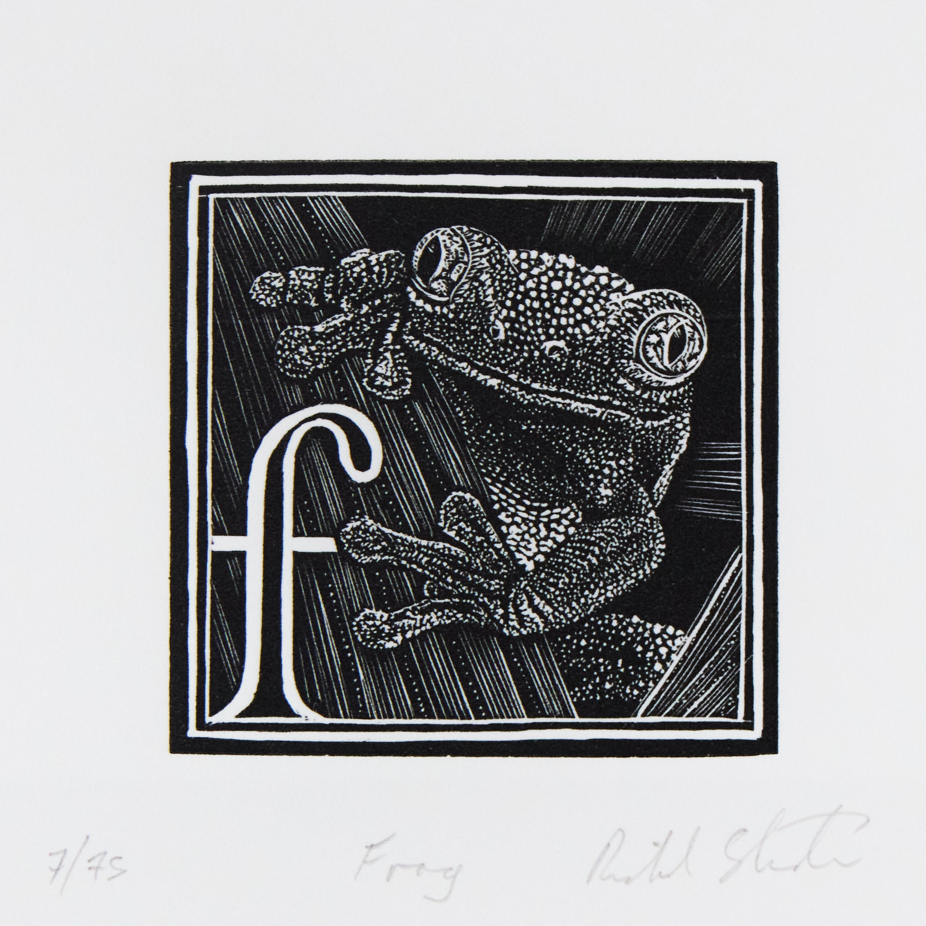 Richard Studer, Richard Studer – F – Frog