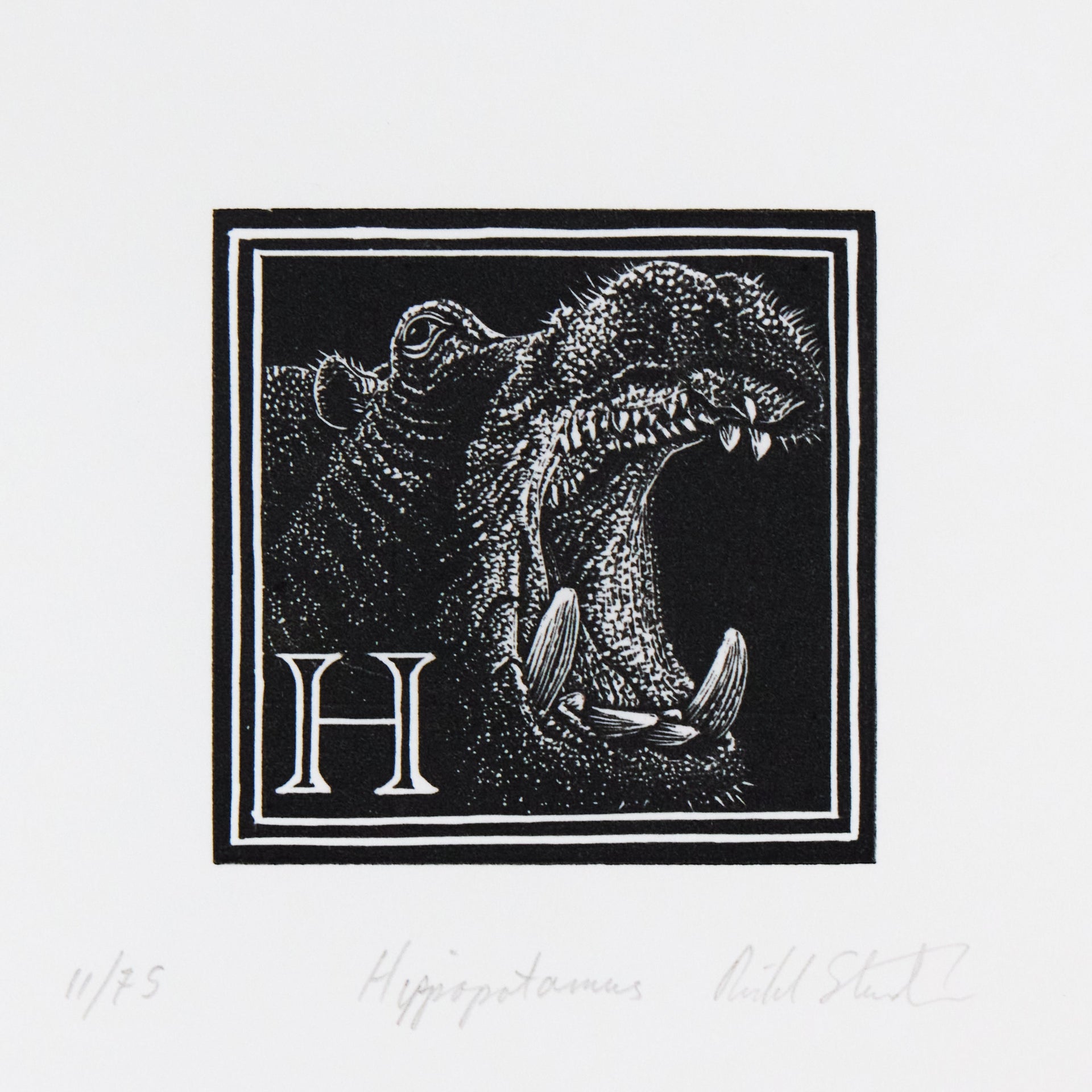 Flusspferd mit weit geöffnetem Maul und sichtbaren Eckzähnen neben Initiale H. Holzschnitt "H – Hippopotamus" von Richard Studer.