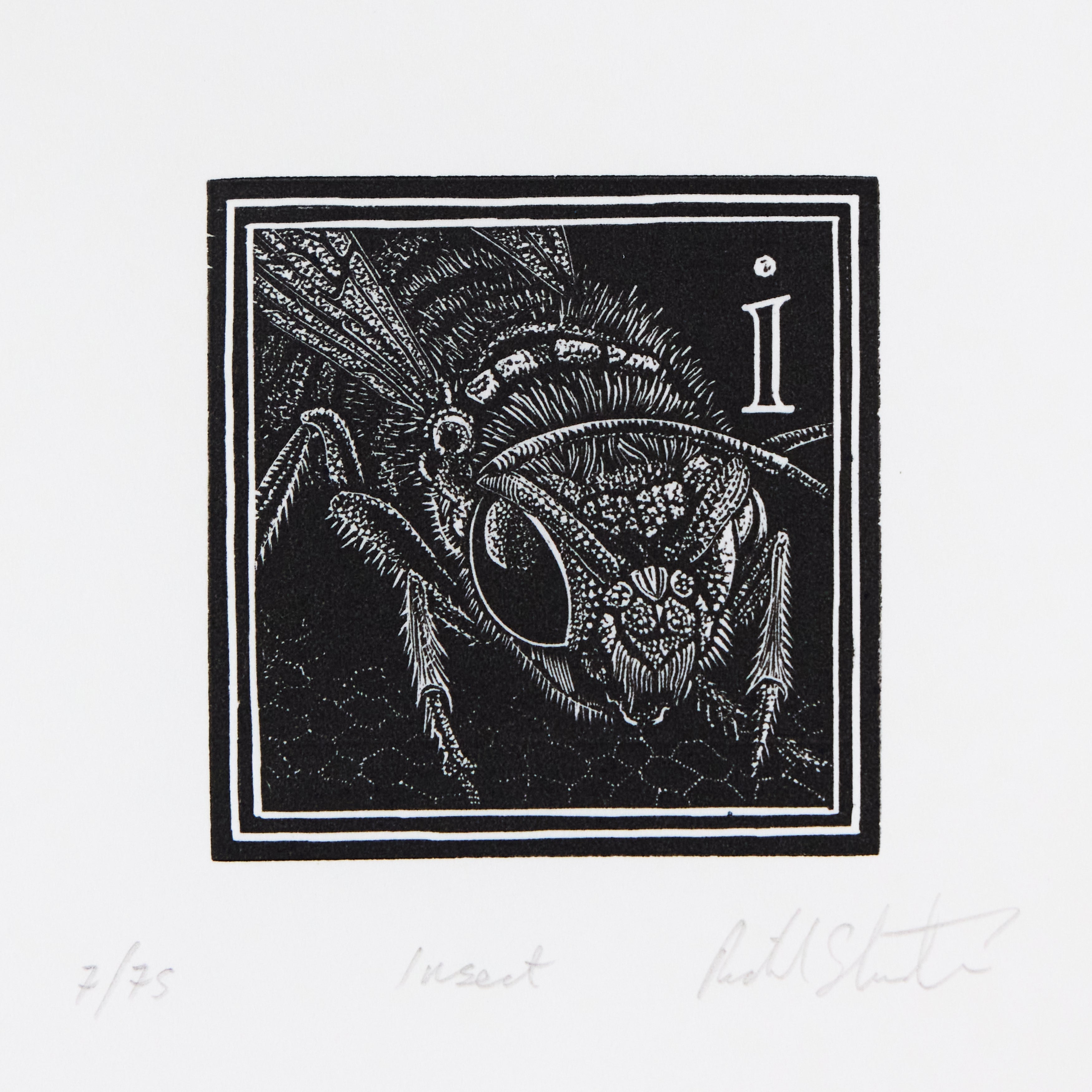 Richard Studer, Richard Studer – I – Insect