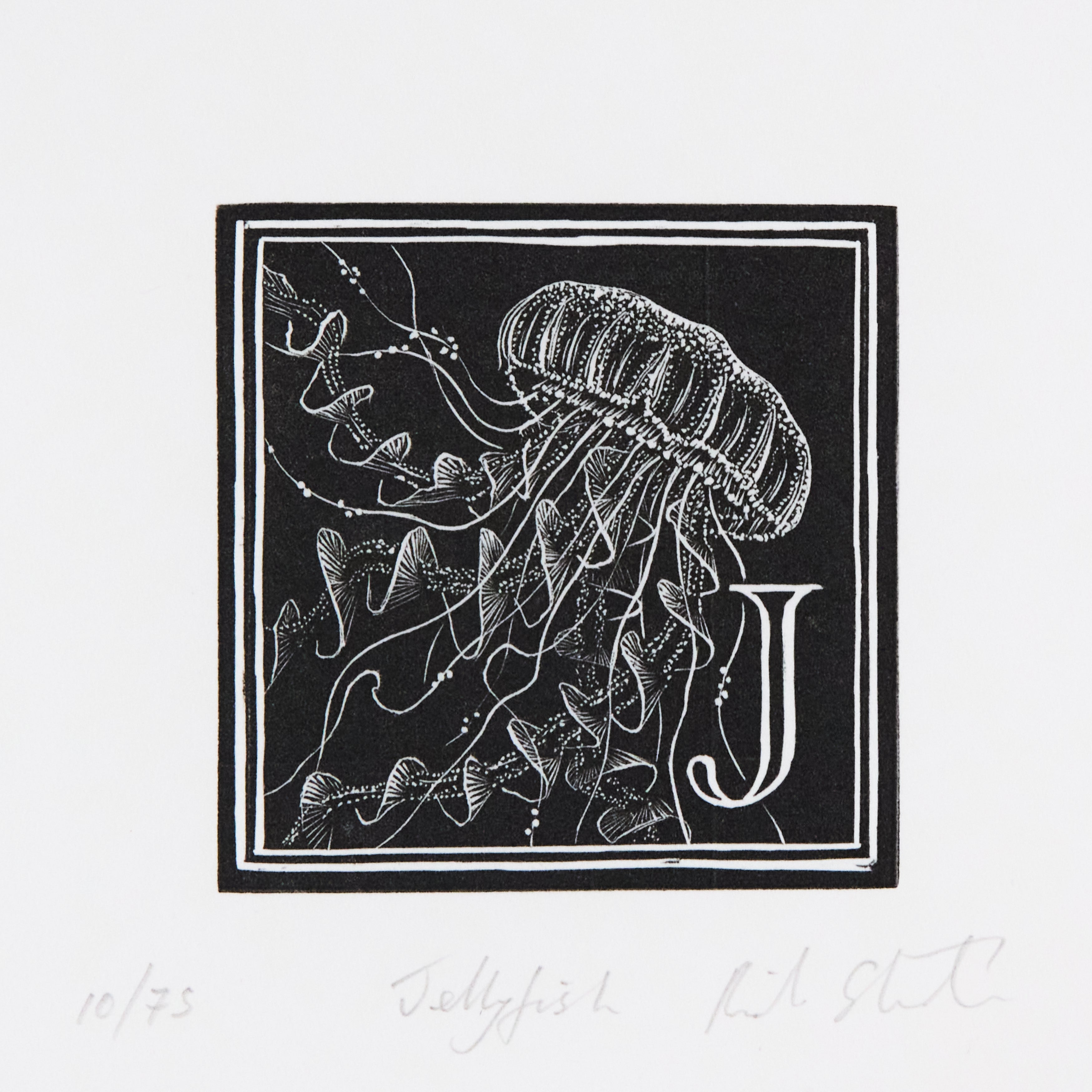 Richard Studer, Richard Studer – J – Jellyfish