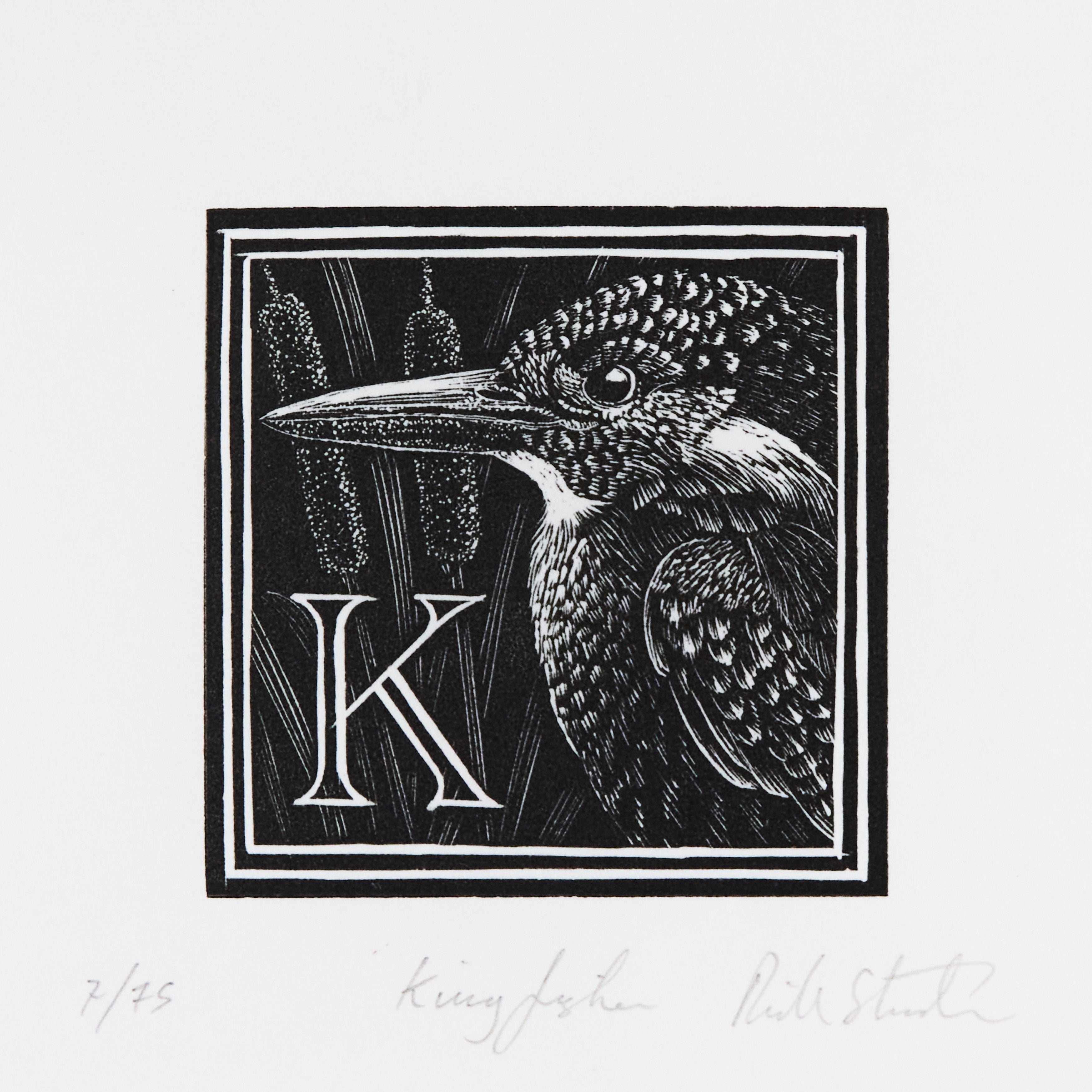 Richard Studer, Richard Studer – K – Kingfisher
