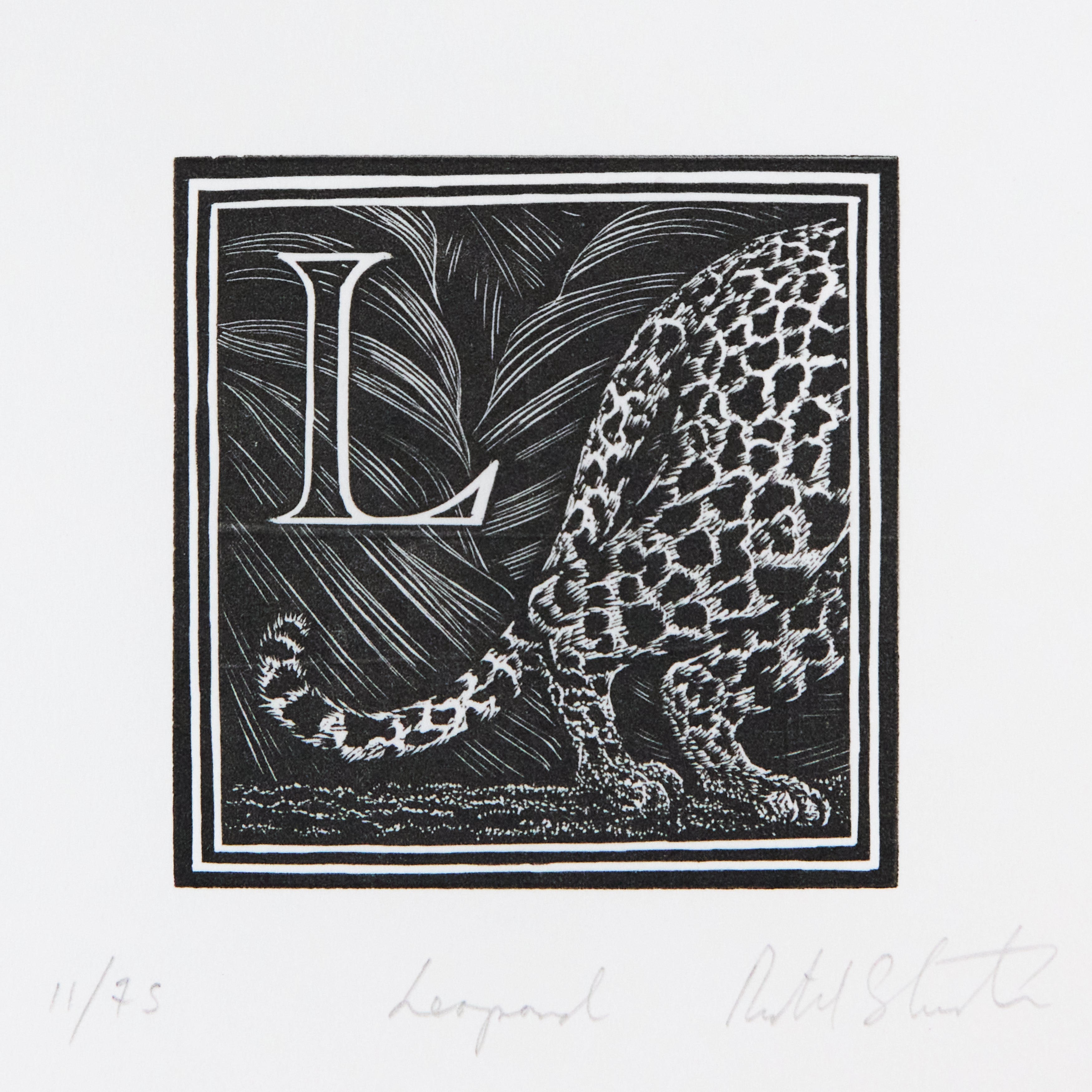 Richard Studer, Richard Studer – L – Leopard