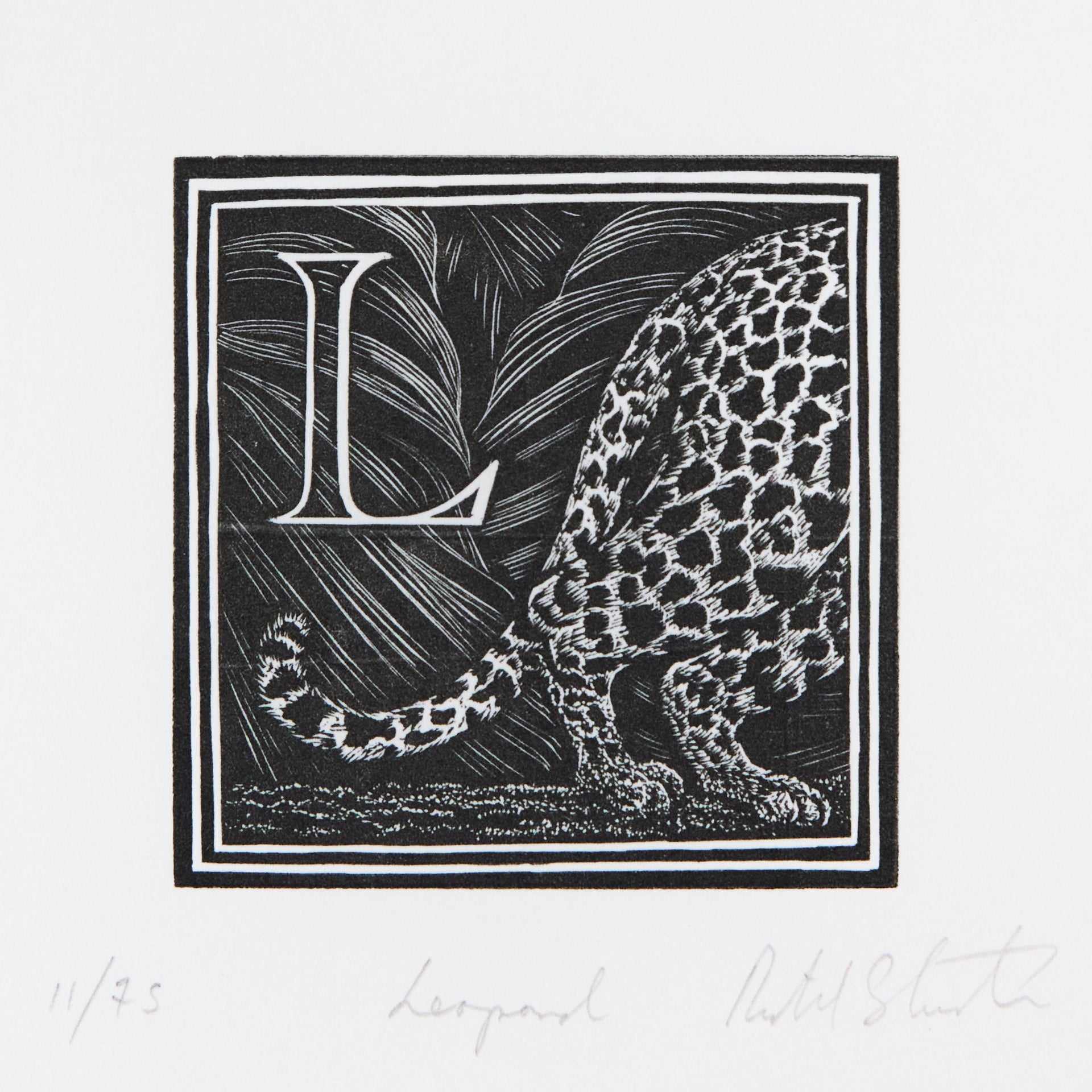 Leopard von hinten mit gefleckter Fellzeichnung und langem Schwanz, daneben Initiale L. Holzschnitt "L – Leopard" von Richard Studer.