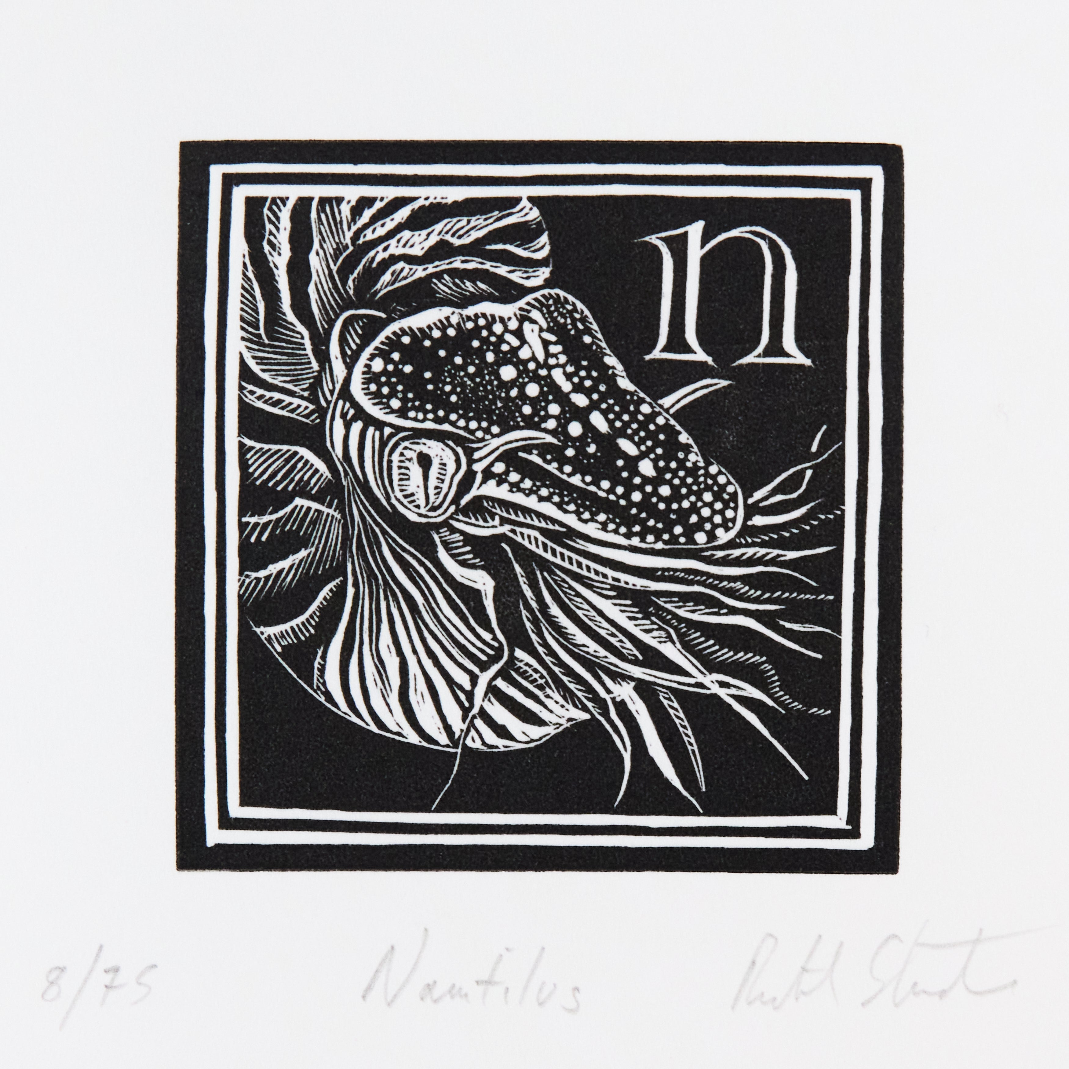 Richard Studer, Richard Studer – N – Nautilus