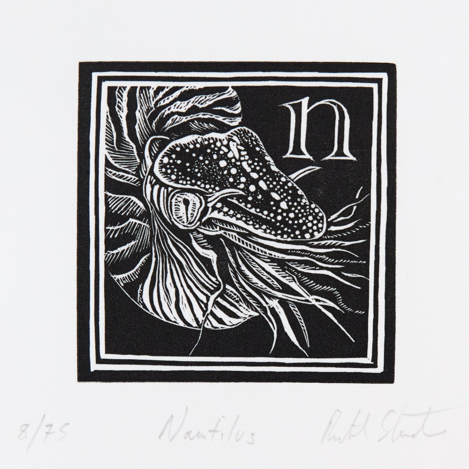 Nautilus mit gestreifter Schale und tentakelartigen Fortsätzen neben Initiale n. Holzschnitt "N – Nautilus" von Richard Studer.