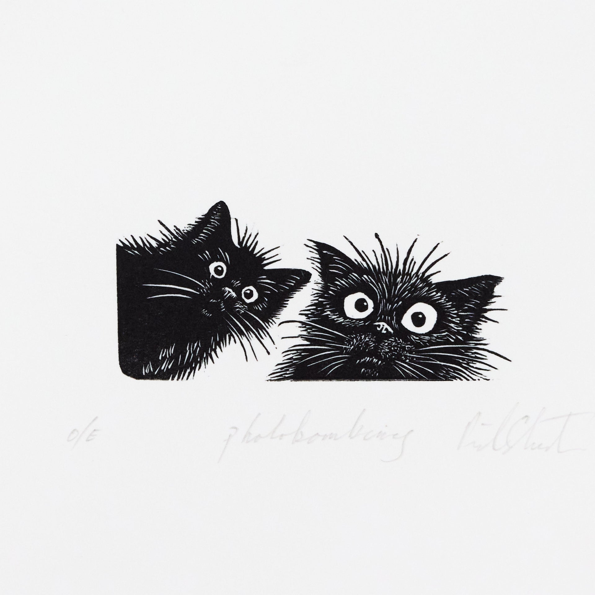 Zwei Katzenköpfe mit aufgerissenen Augen und stachligem Fell, frei nebeneinander ohne Rahmen. Holzschnitt "Photobombing" von Richard Studer.