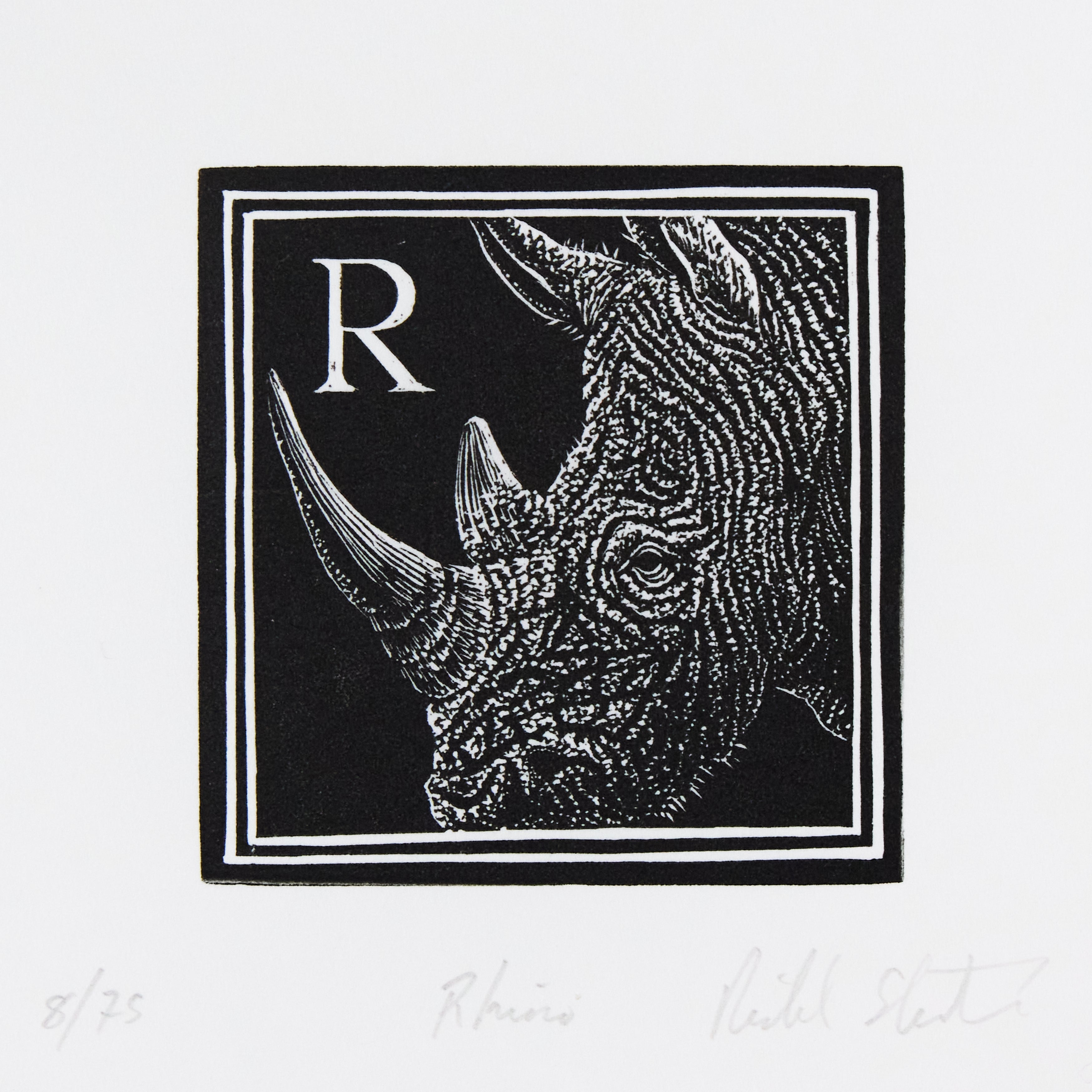 Richard Studer, Richard Studer – R – Rhino