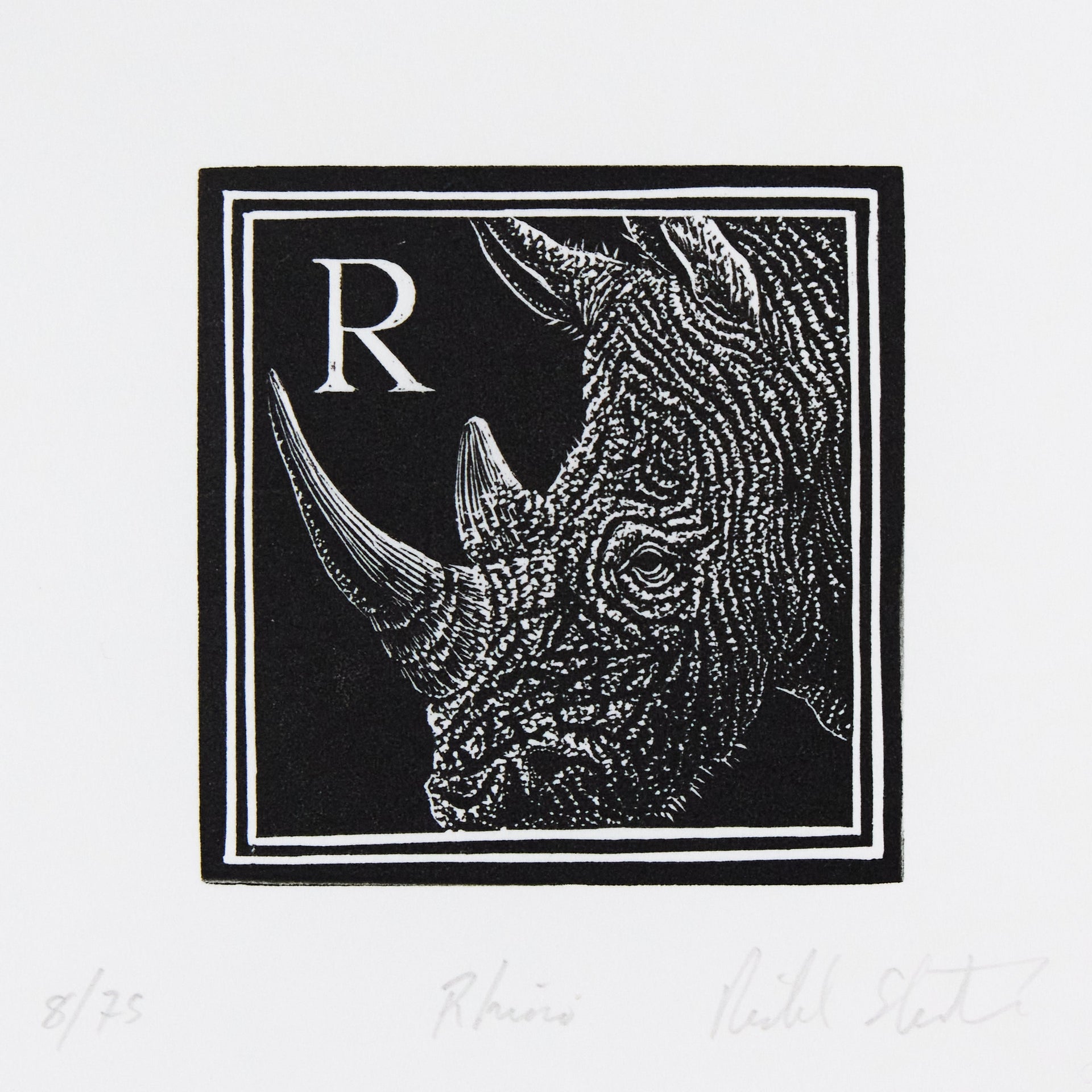 Nashornkopf mit Horn und faltiger Haut im Profil neben Initiale R, in quadratischer Rahmung. Holzschnitt "R – Rhino" von Richard Studer.
