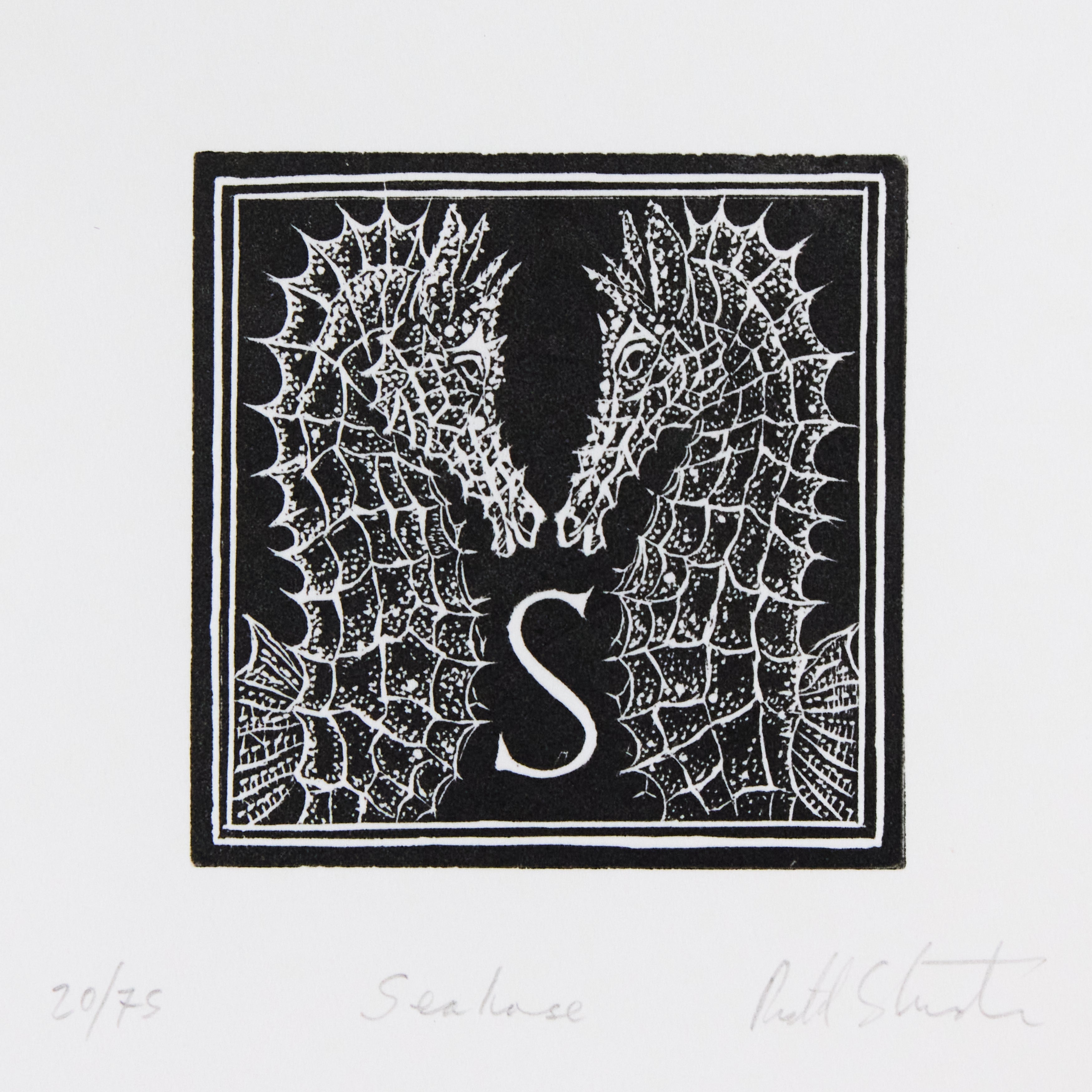 Richard Studer, Richard Studer – S – Seahorse