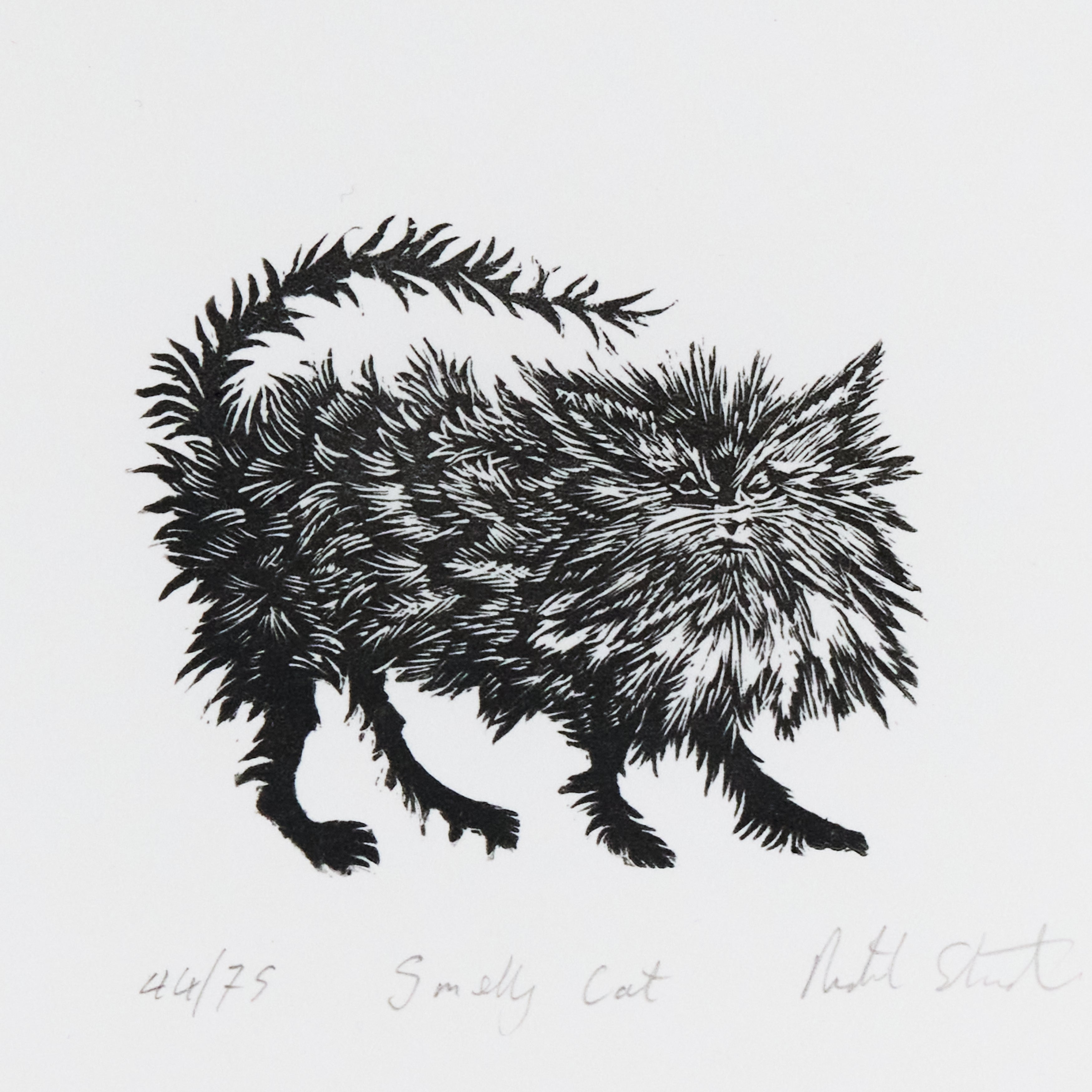 Richard Studer, Richard Studer – Smelly Cat