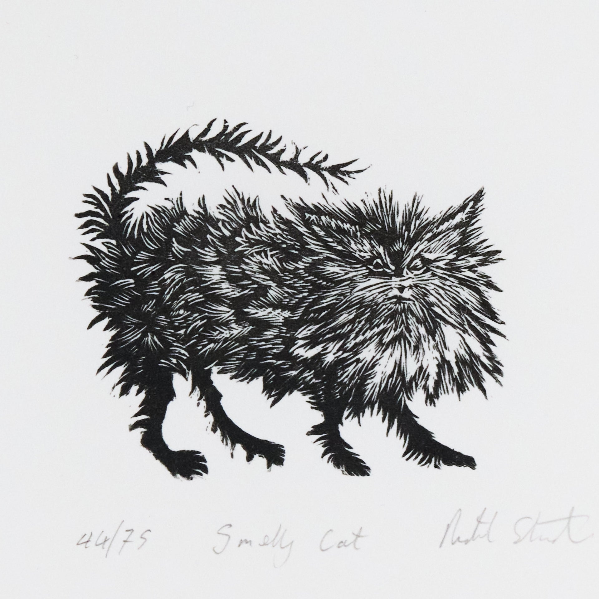 Struppige Katze mit aufgestelltem Fell und langen Schnurrhaaren, frei stehend ohne Rahmen. Holzschnitt "Smelly Cat" von Richard Studer.