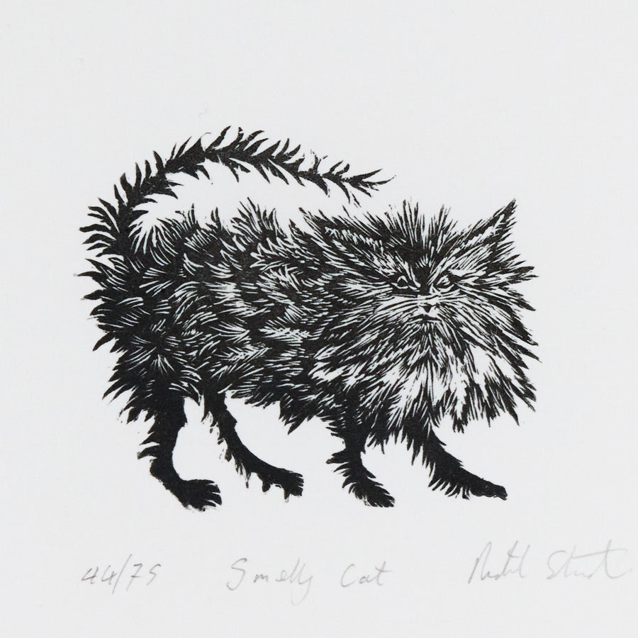 Richard Studer – Smelly Cat