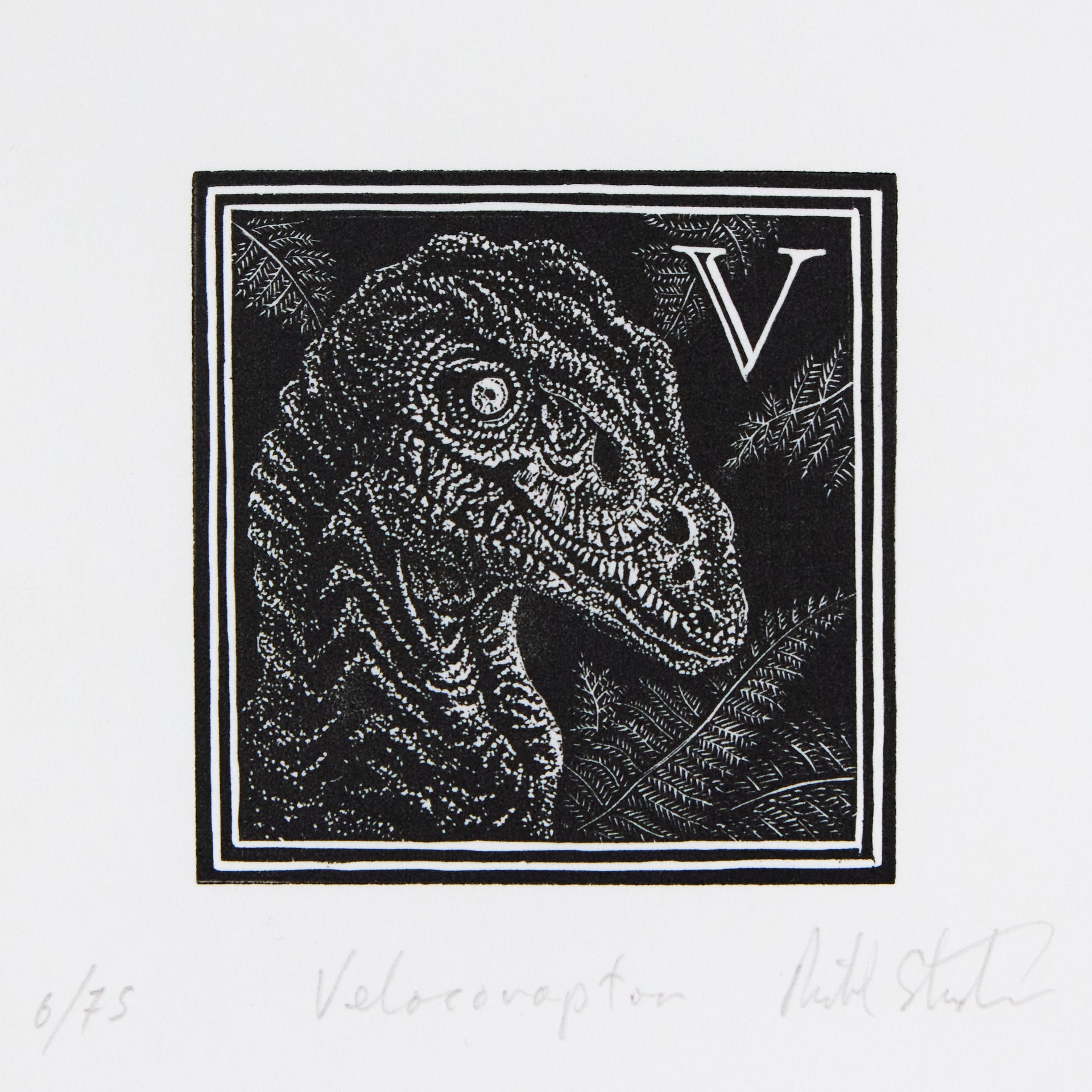 Velociraptor-Kopf im Profil mit gezackten Zähnen und Auge neben Initiale V, vor Farnblättern. Holzschnitt "V – Velociraptor" von Richard Studer.