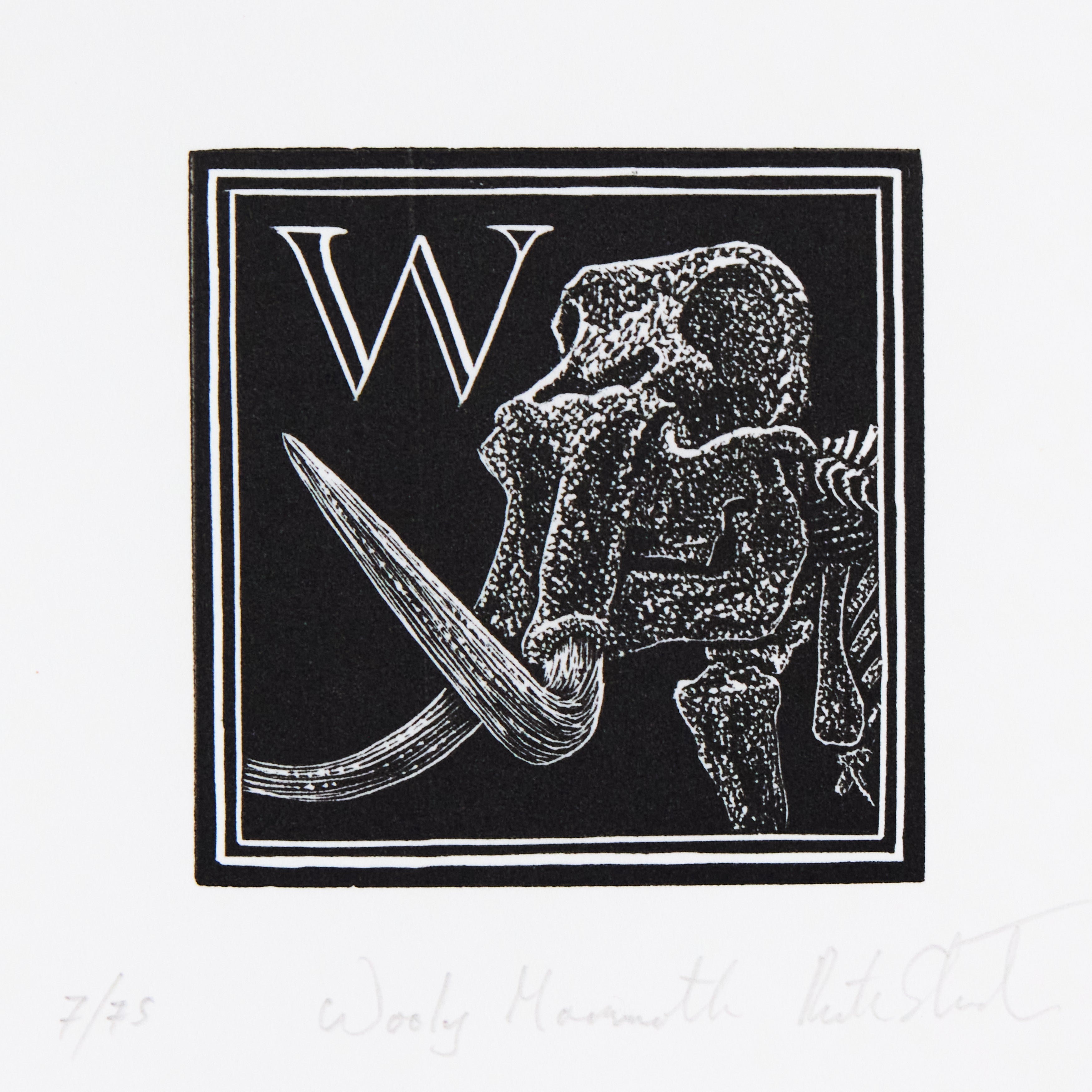 Richard Studer, Richard Studer – W – Wooly Mammoth
