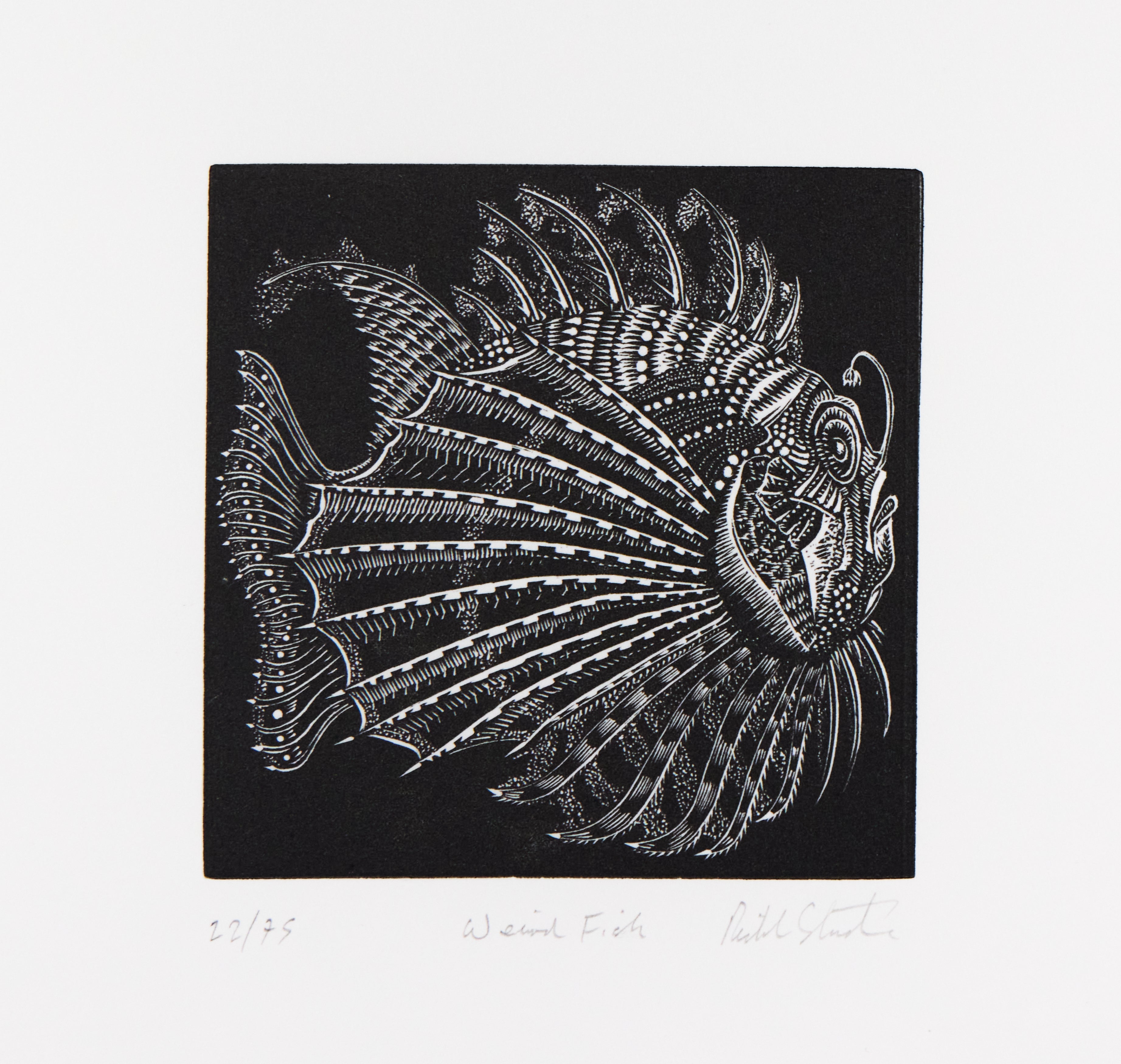 Richard Studer, Richard Studer – Weird Fish
