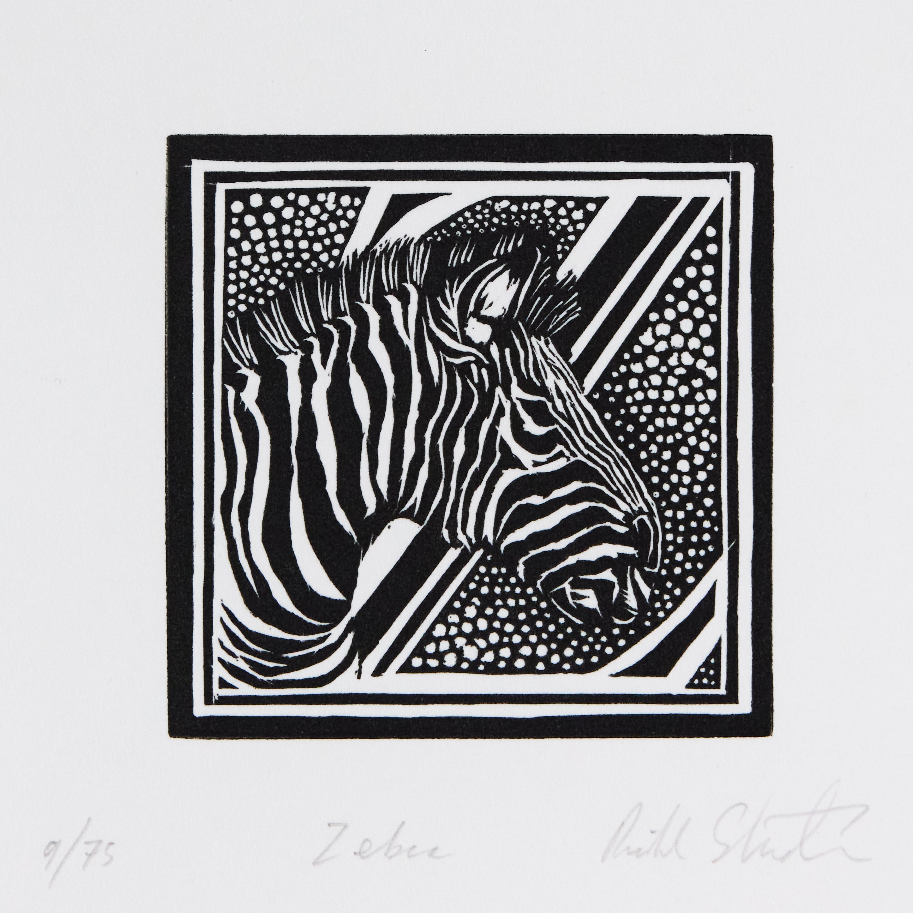 Richard Studer, Richard Studer – Z – Zebra