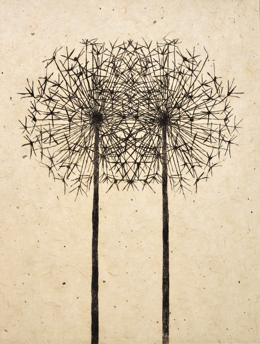 Anna Francis, Anna Francis – Allium